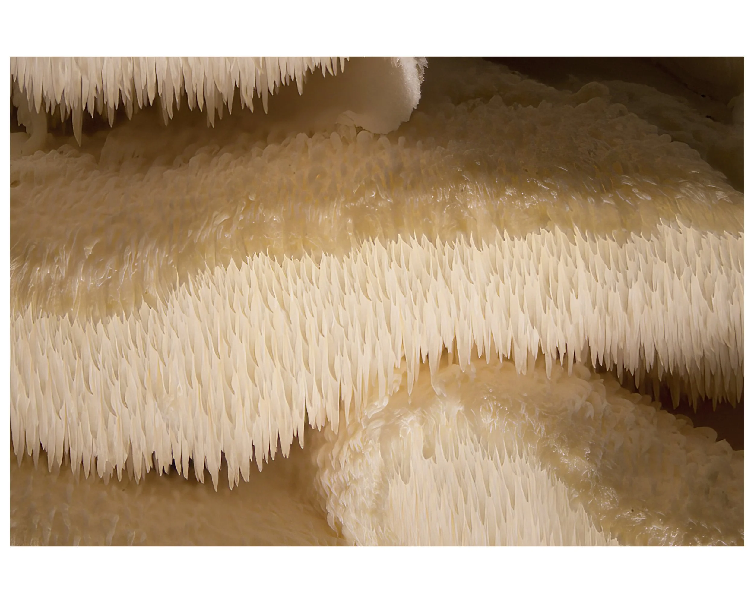 TIERED TOOTH_02_IG_CLR3.jpg