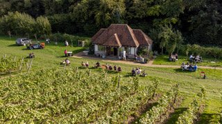 Wiston_Harvest.jpeg
