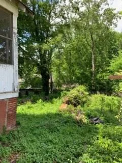 IMG_0460_20210517_145632.jpg