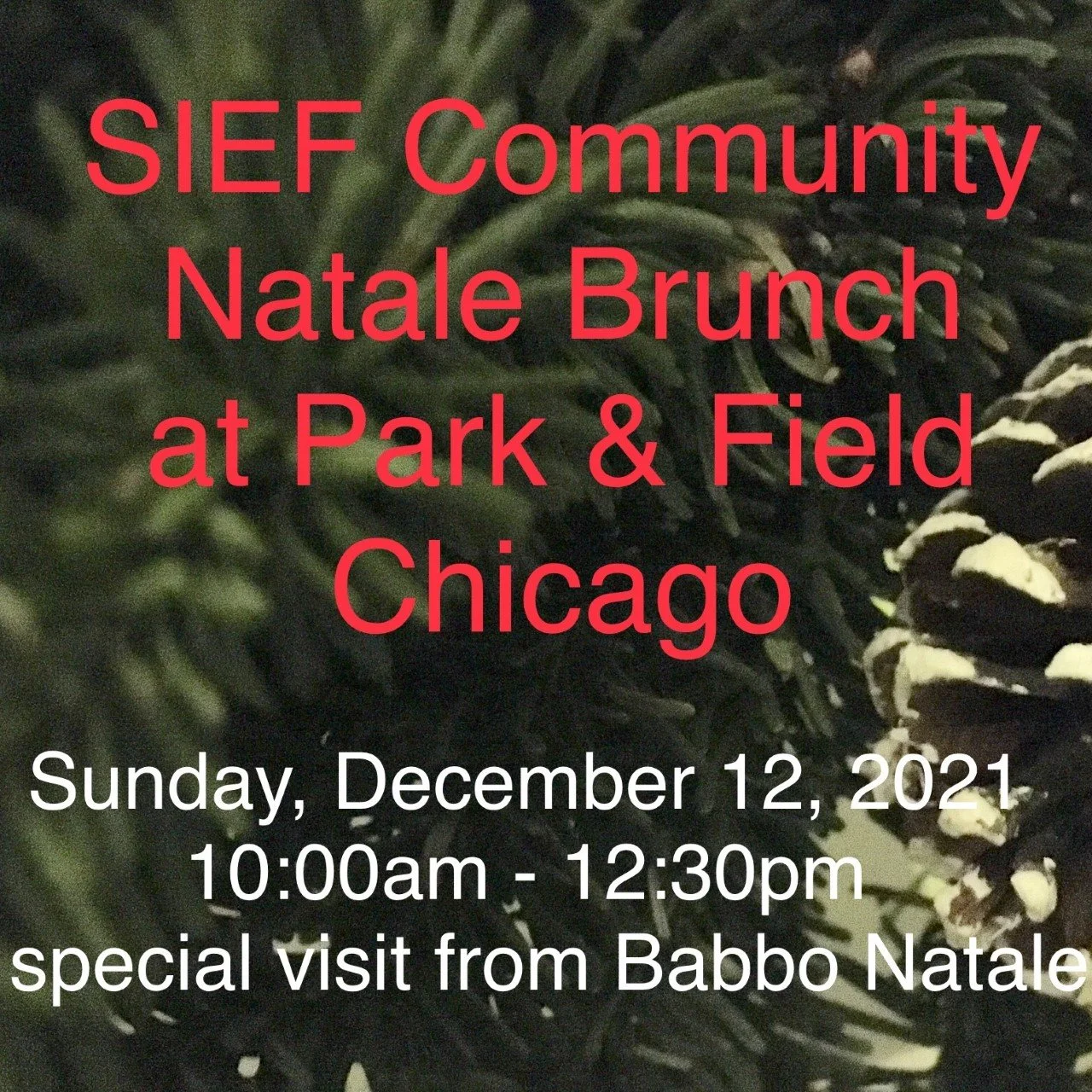 SIEF Community Natale Brunch