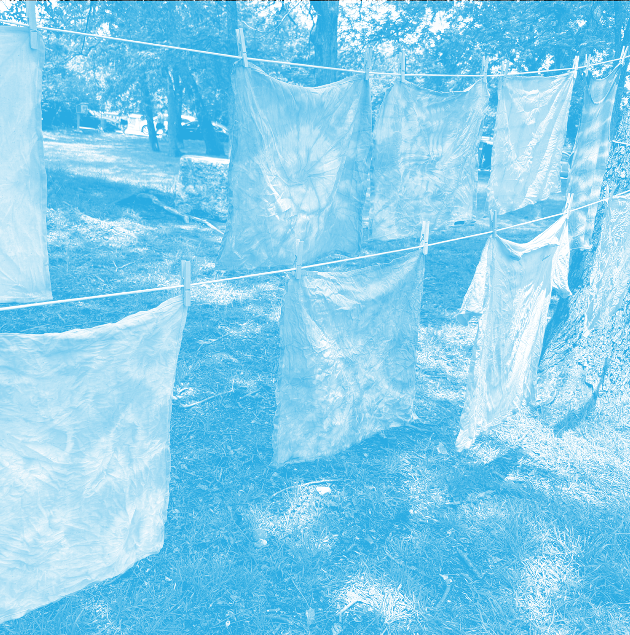 Naturalists at the Ney: Natural Dying Workshop