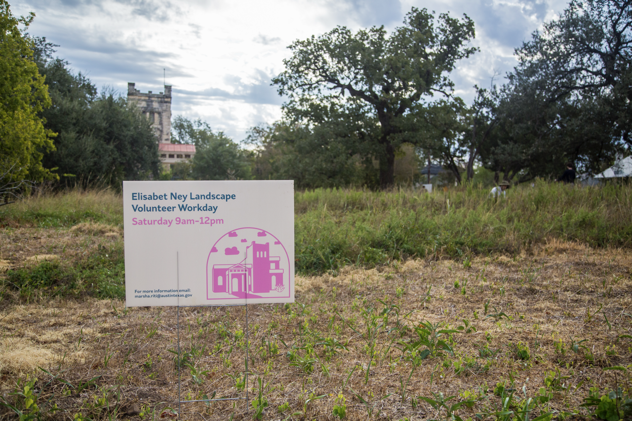 NEY - MY PARK DAY (11.01.2025) UG - 075 Large.png