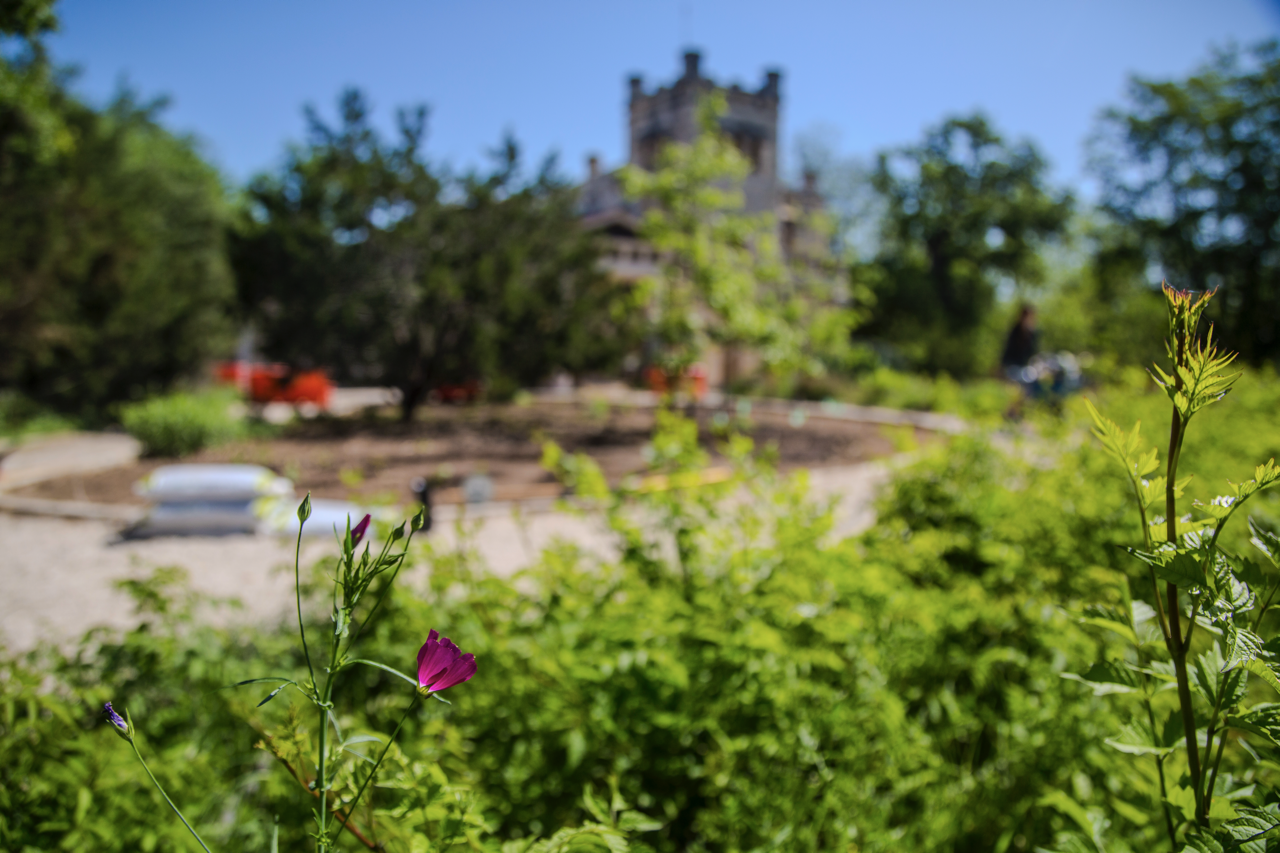 NEY - LANDSCAPE VOLUNTEER DAY (04.10.2025) UG - 039 Large.png