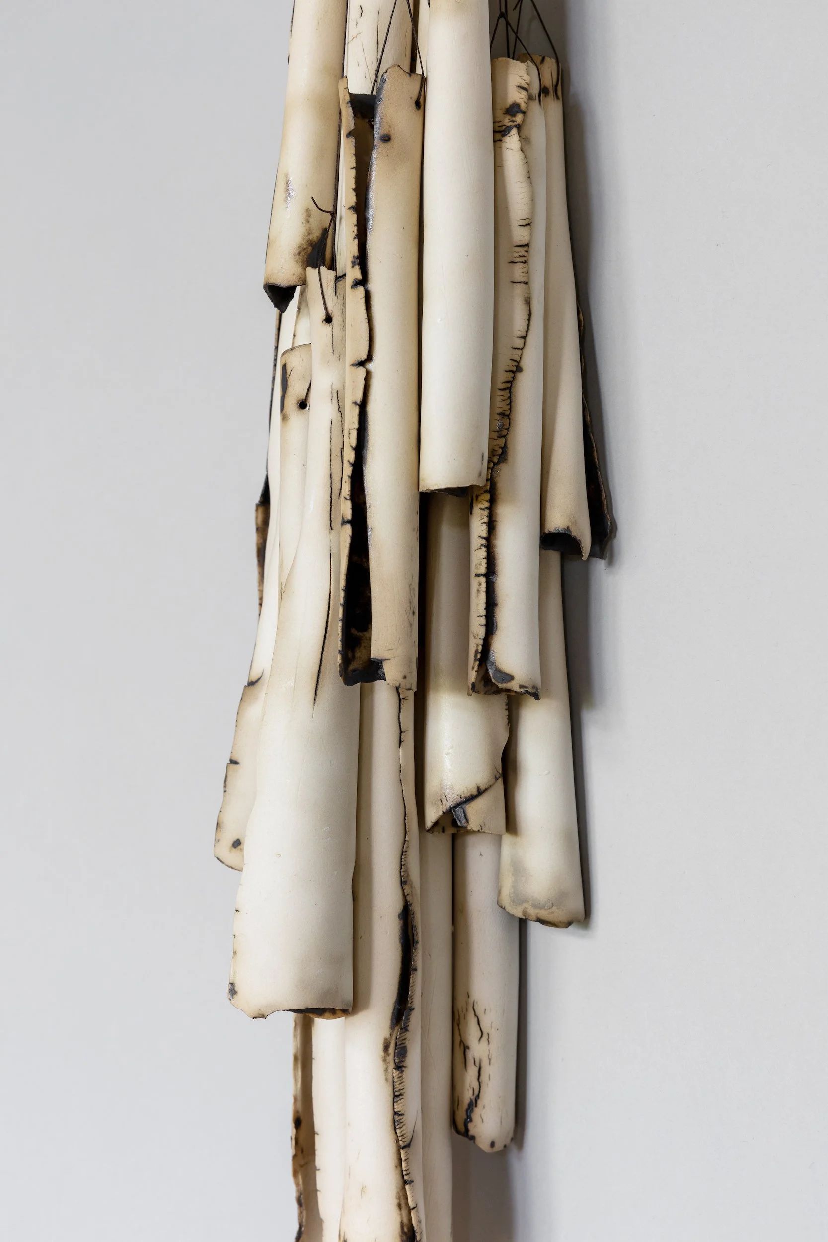 Bundled Bones Detail