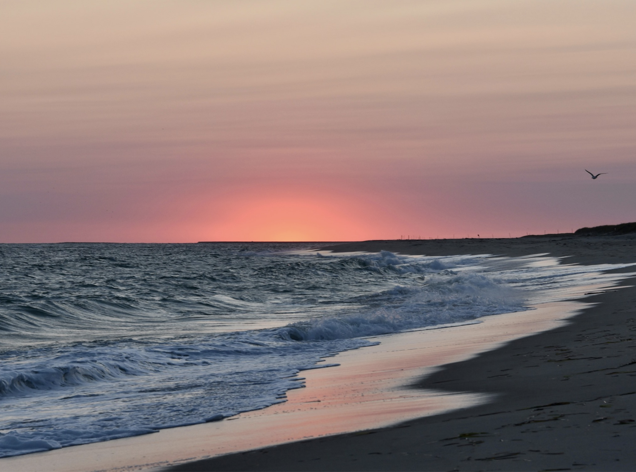 Pink Beach sunset.png