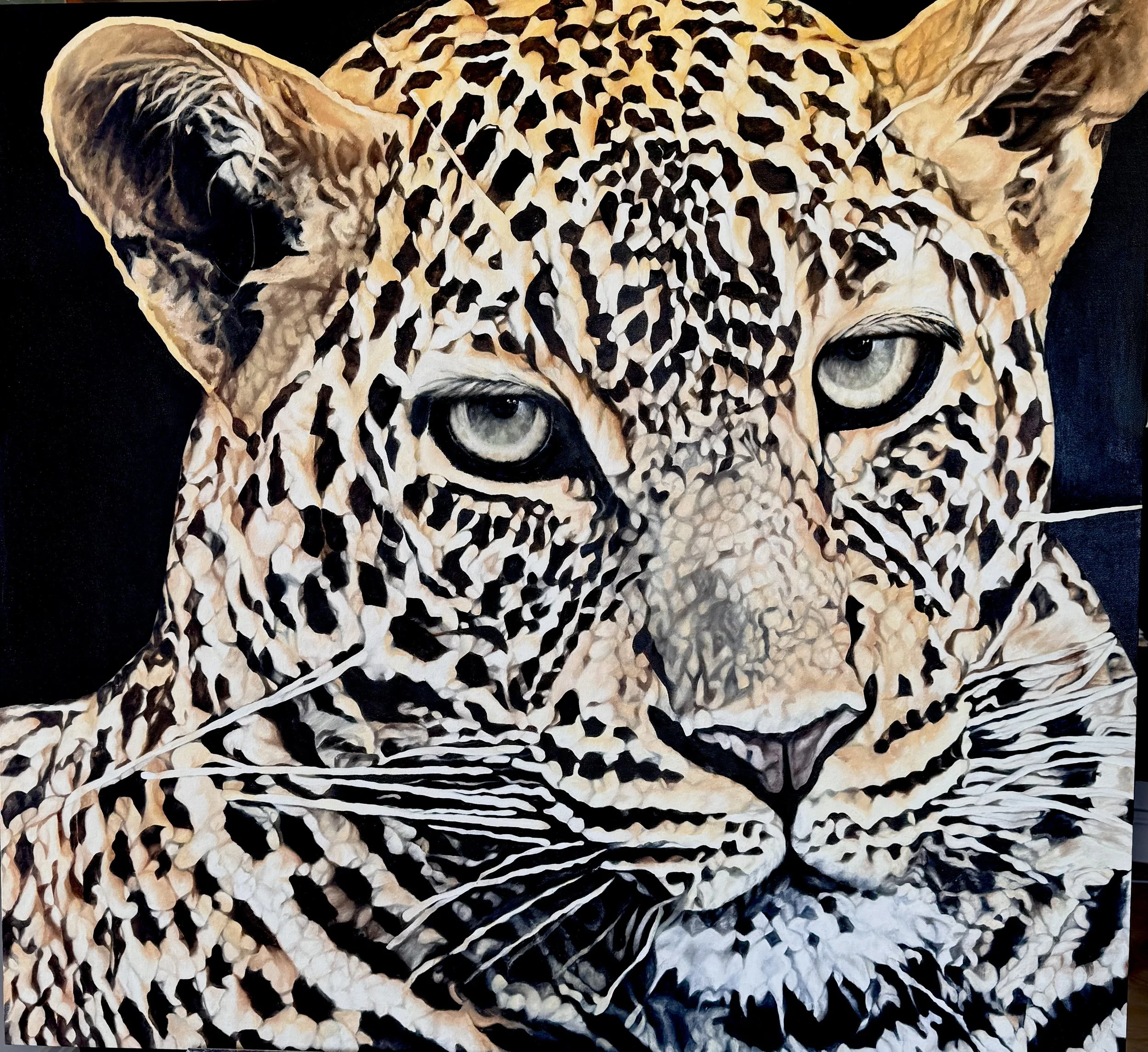 Leopard  (44" x 41.4")