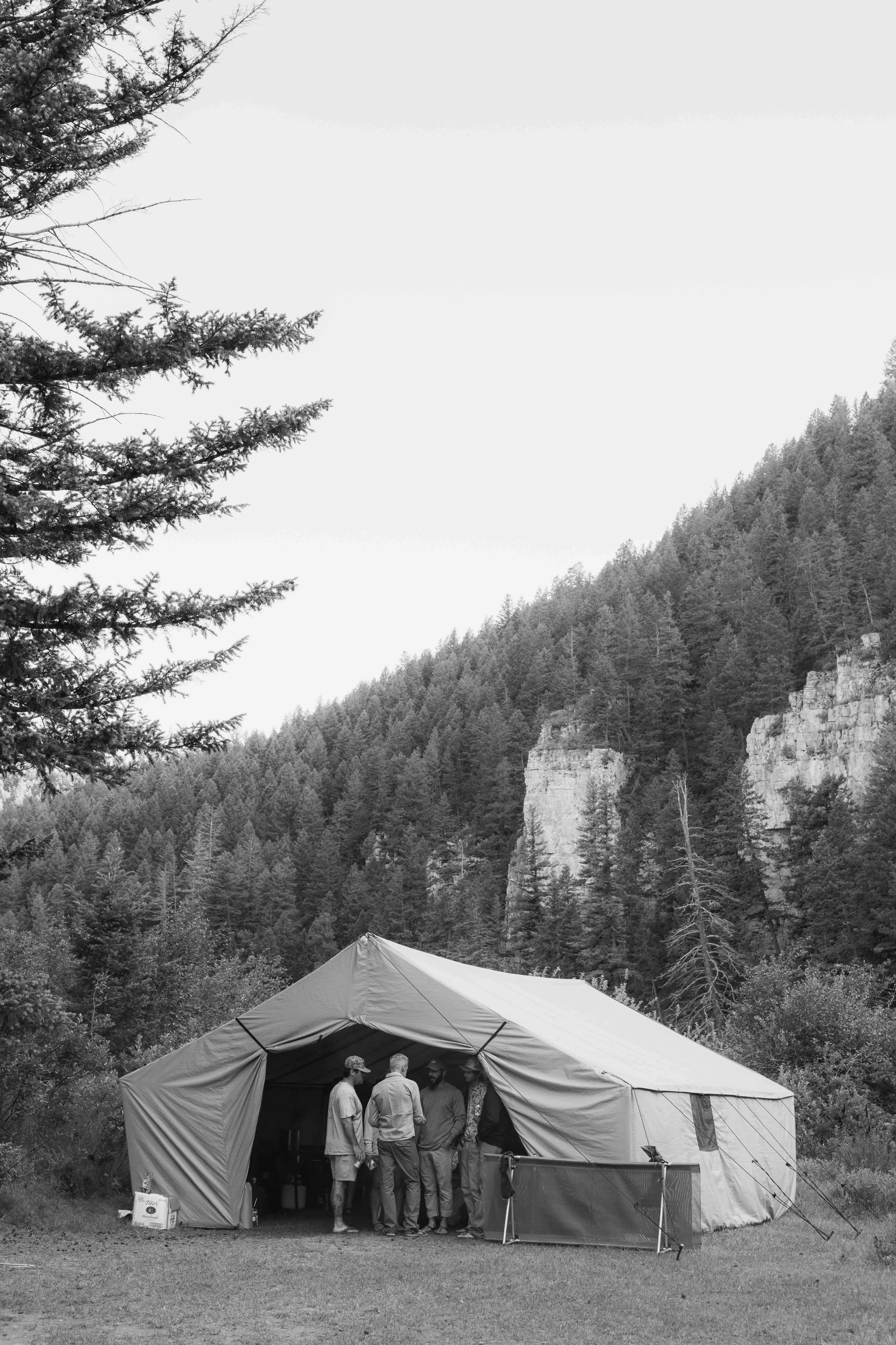 DSC_2686-2.jpeg