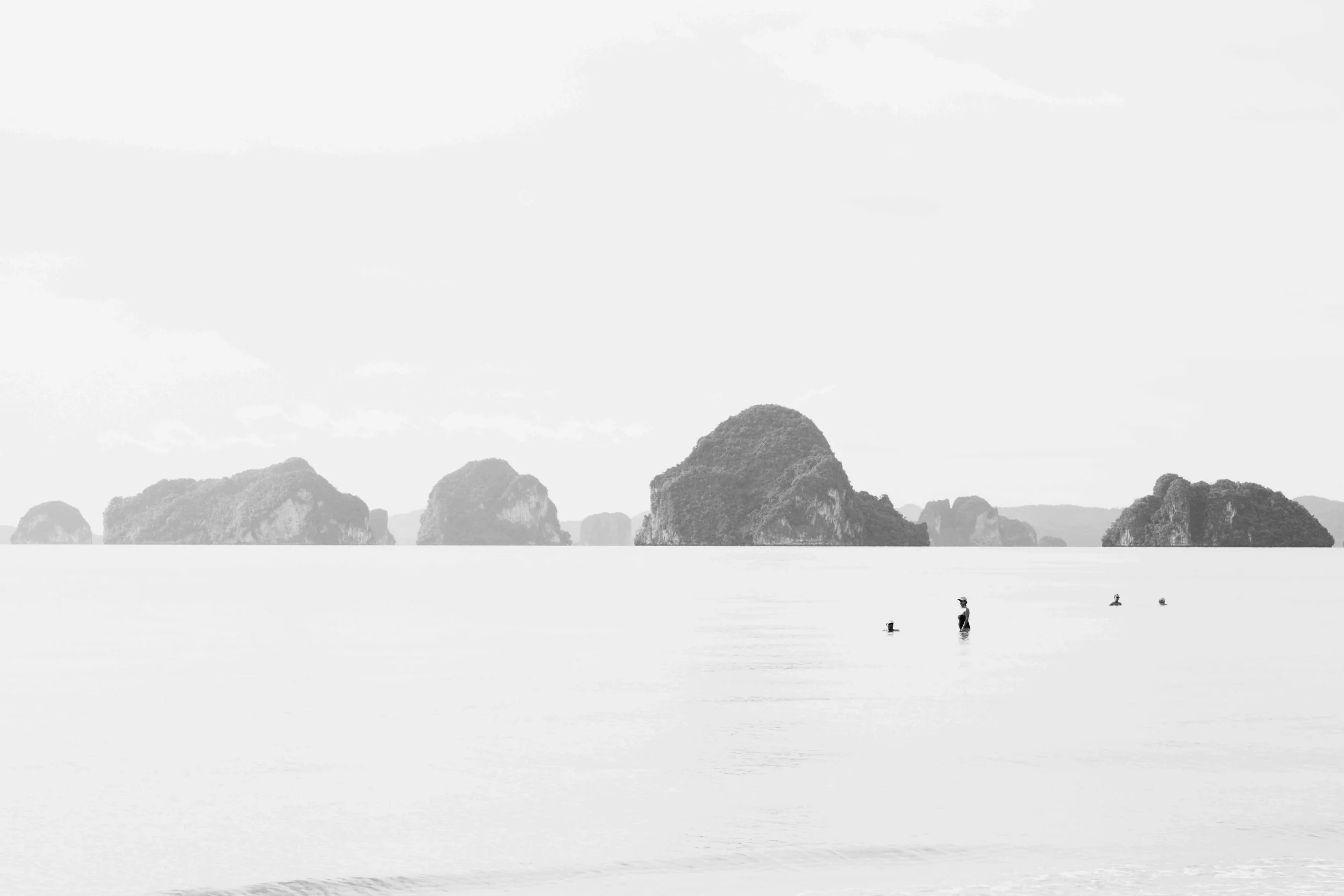 DSC_2595.jpeg