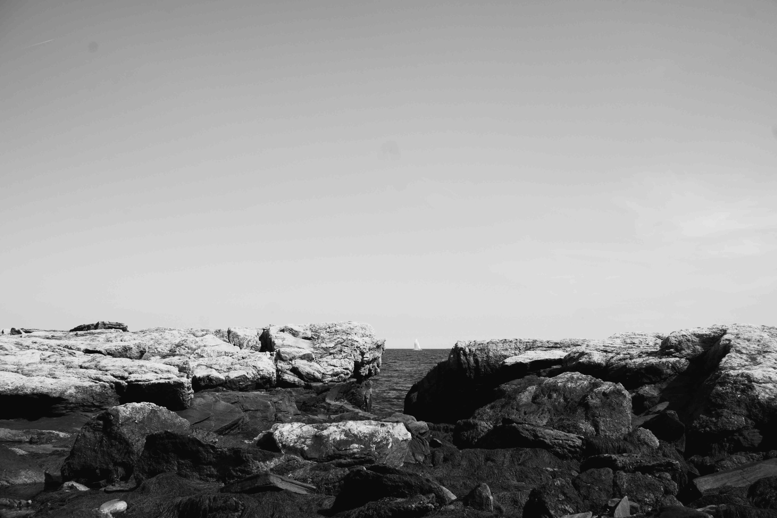 DSC_4939-2.jpeg