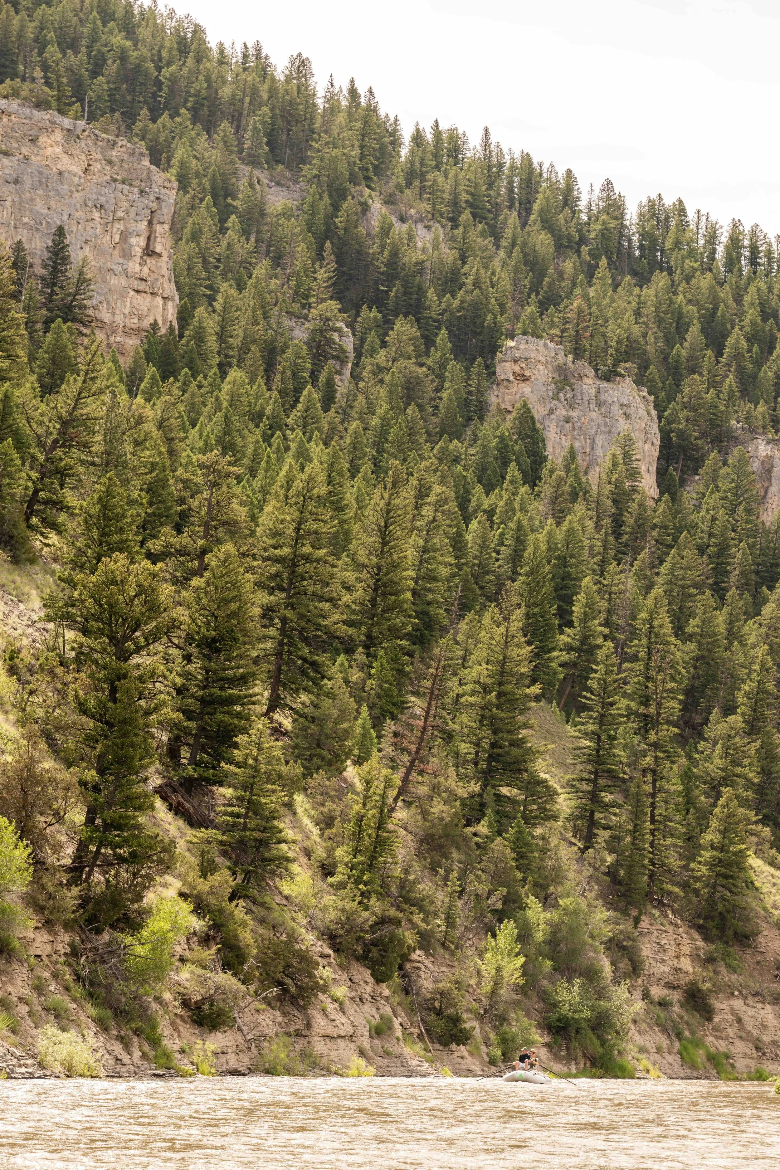 DSC_2080-2.jpeg
