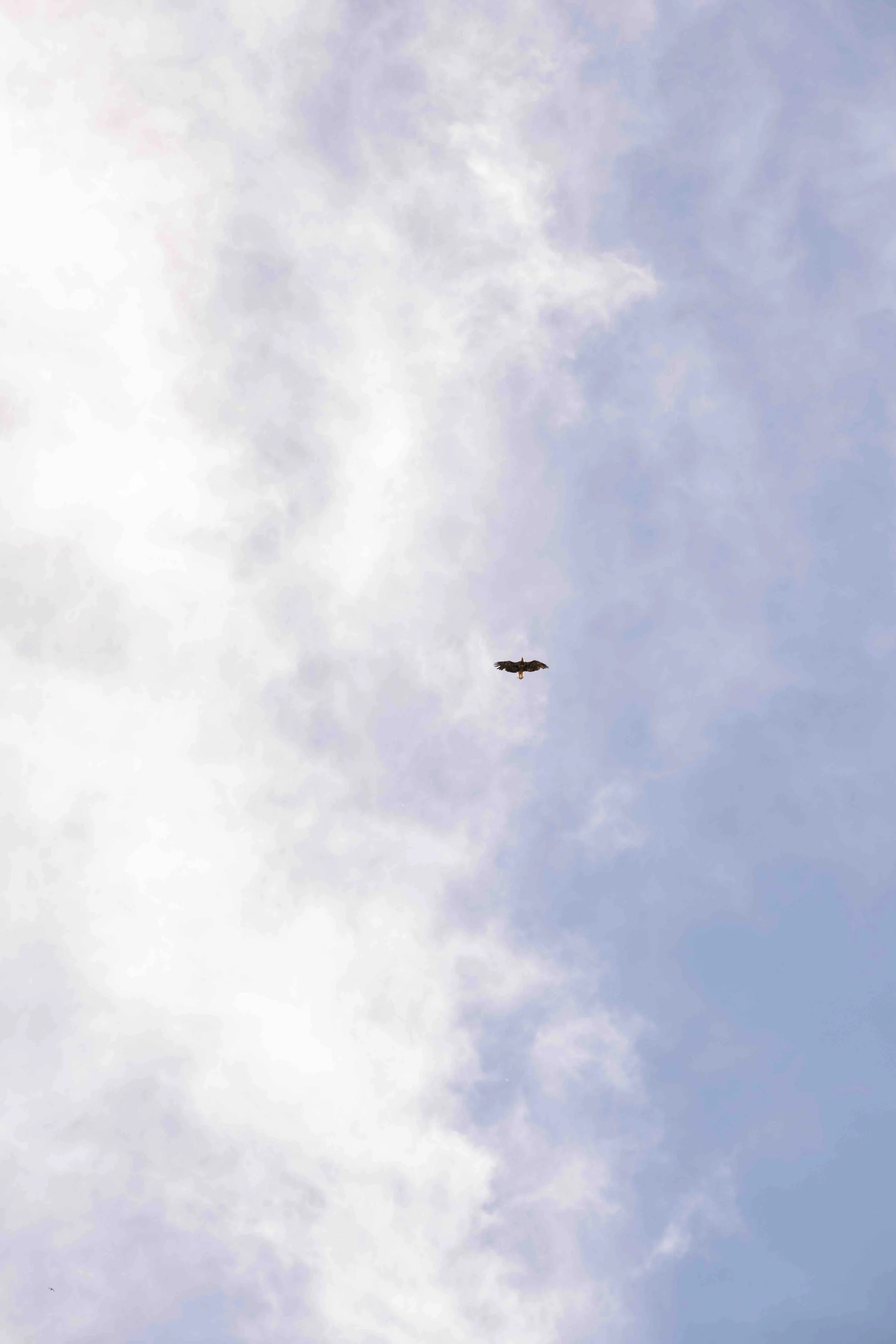 DSC_2202.jpeg