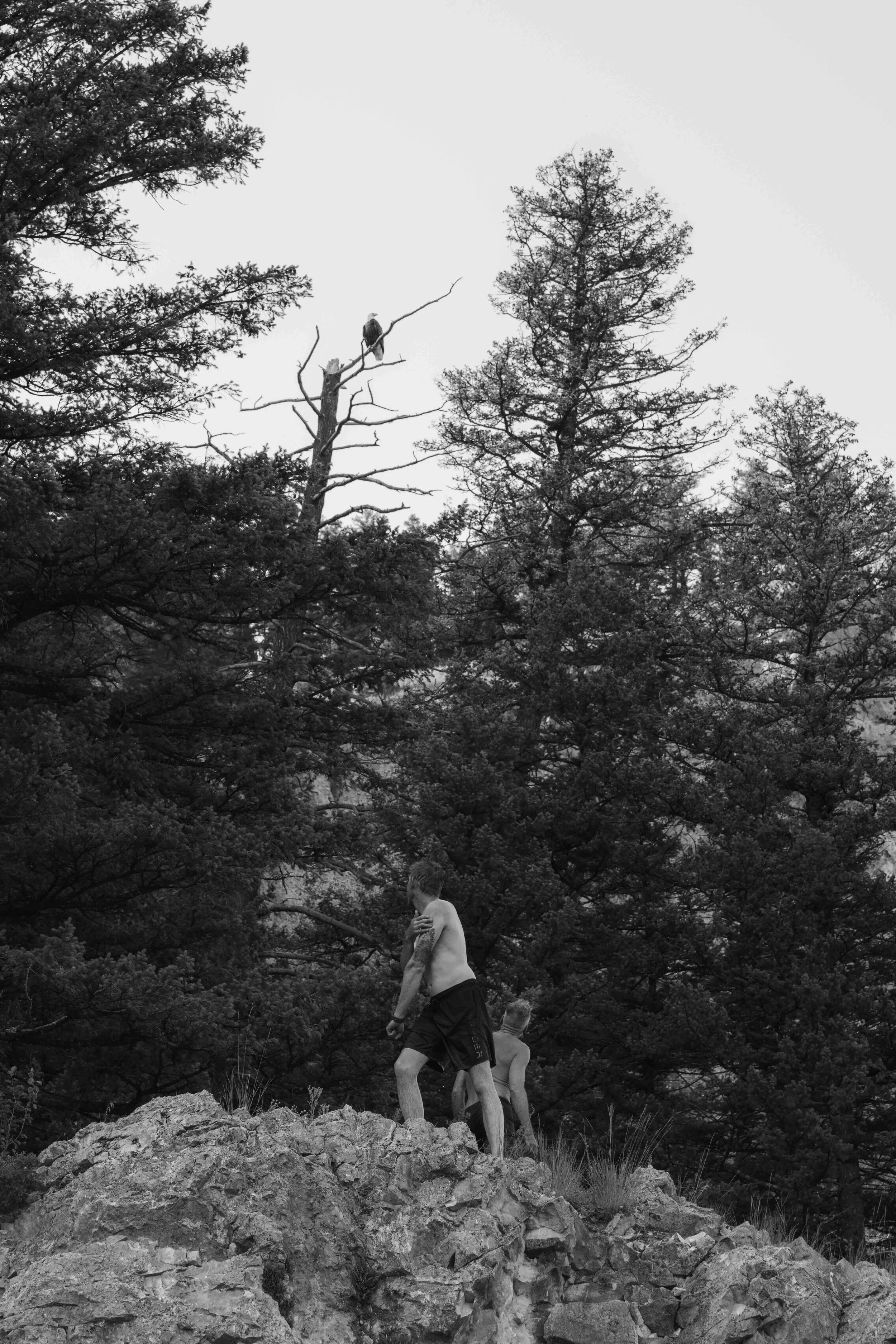 DSC_3324.jpeg
