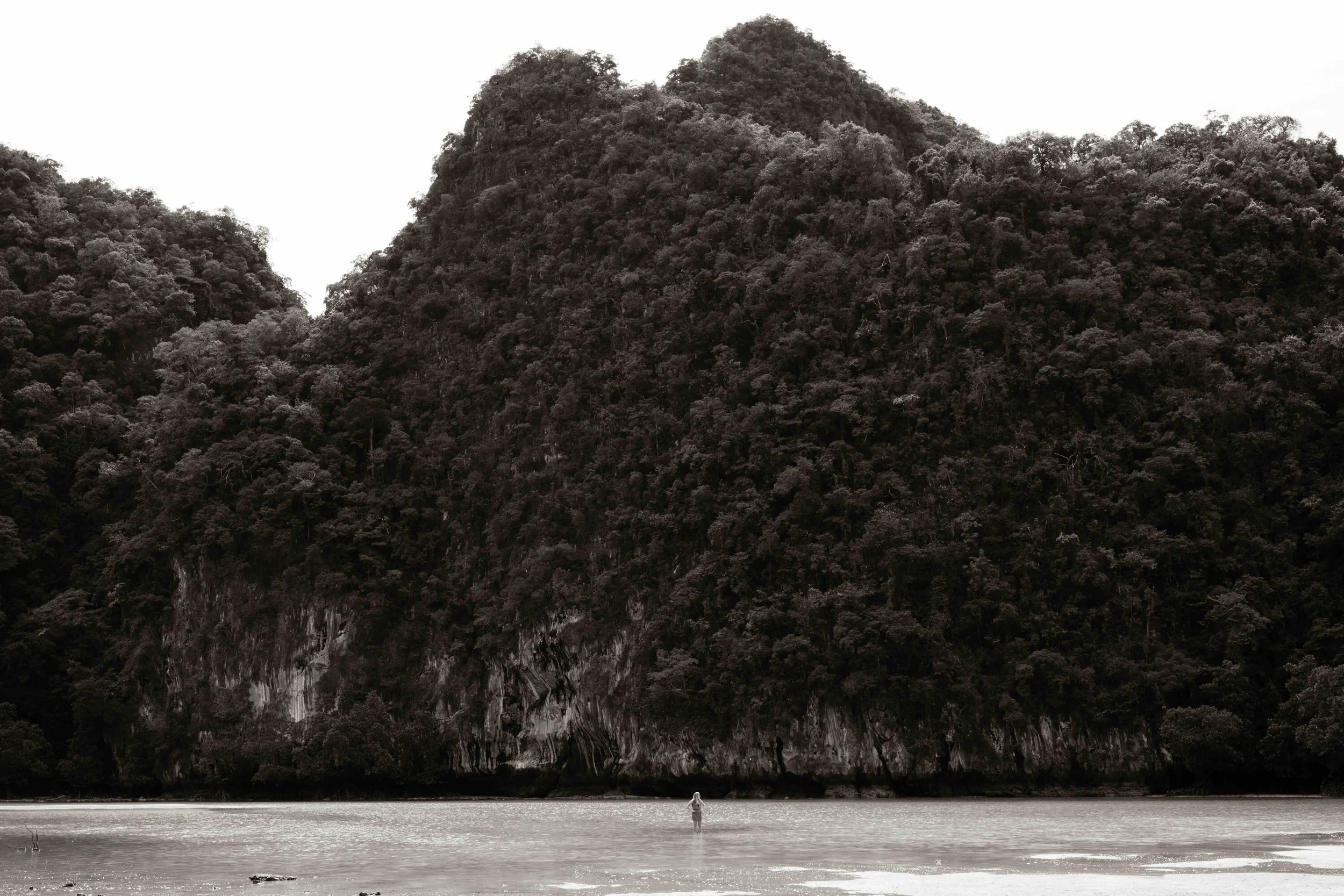 DSC_2329.jpeg