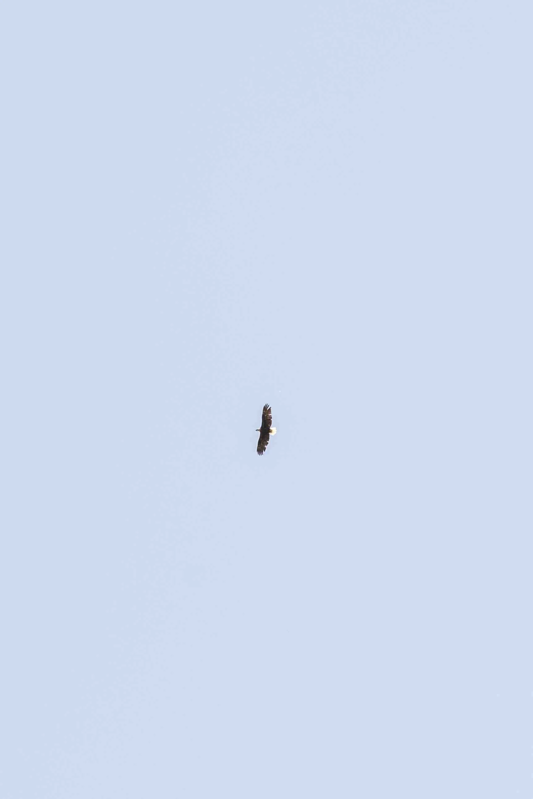 DSC_3554.jpeg