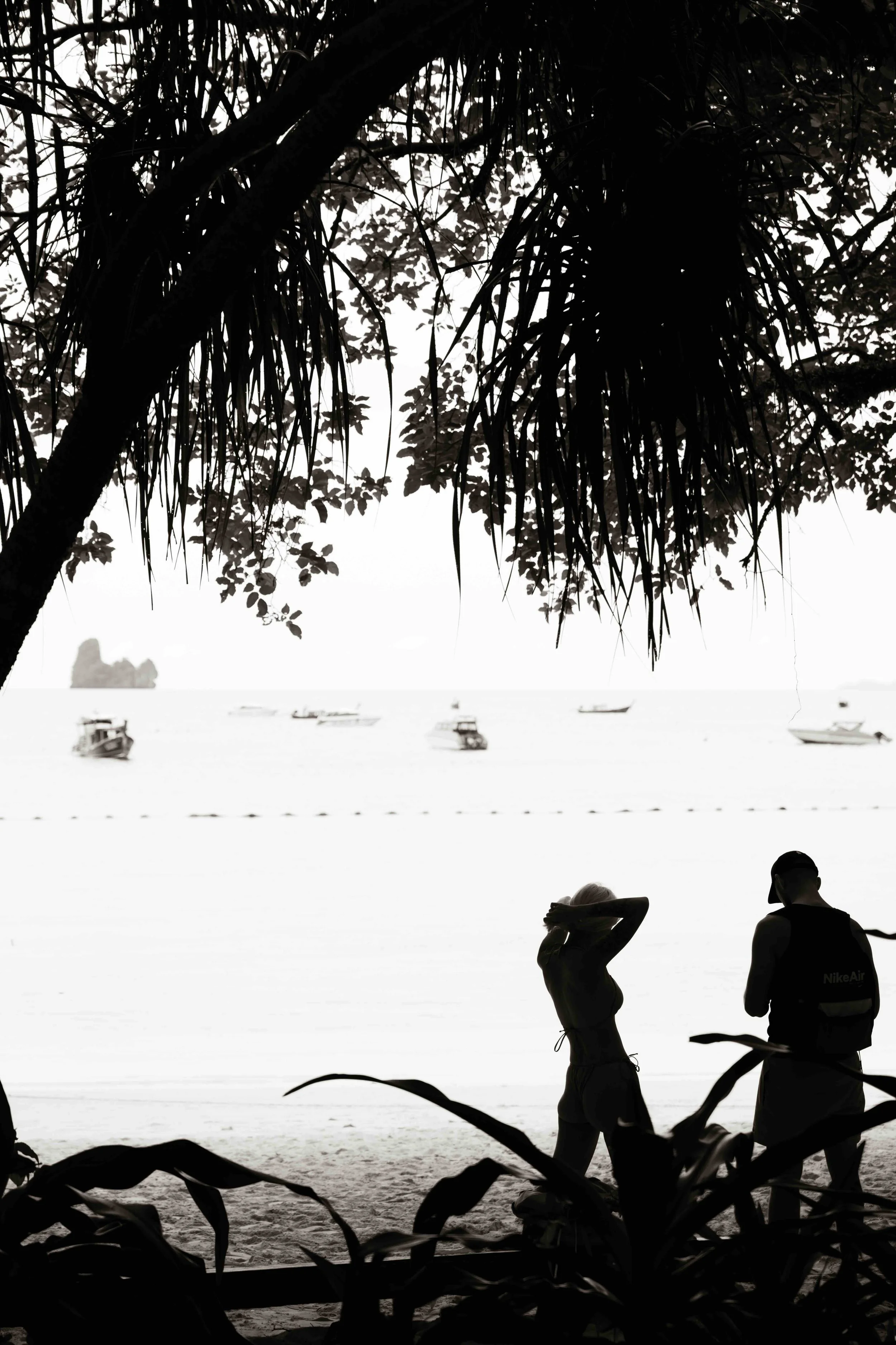 DSC_2011.jpeg