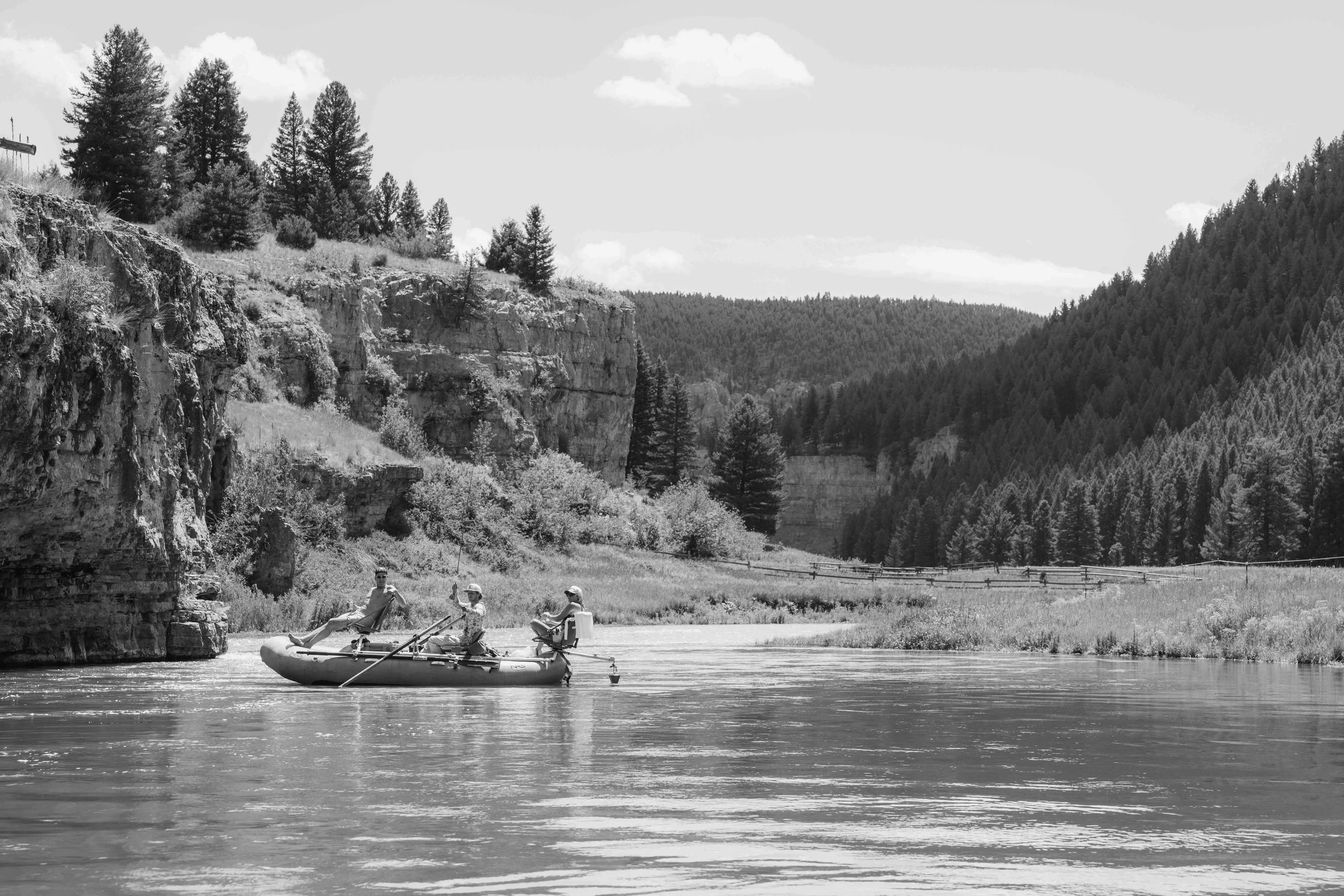DSC_2337.jpeg