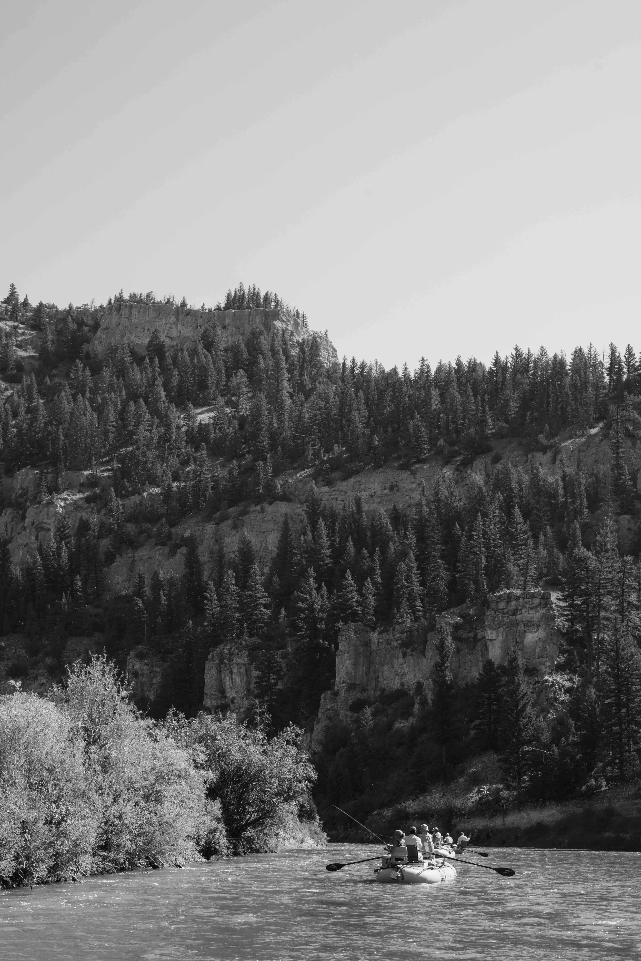 DSC_3387.jpeg