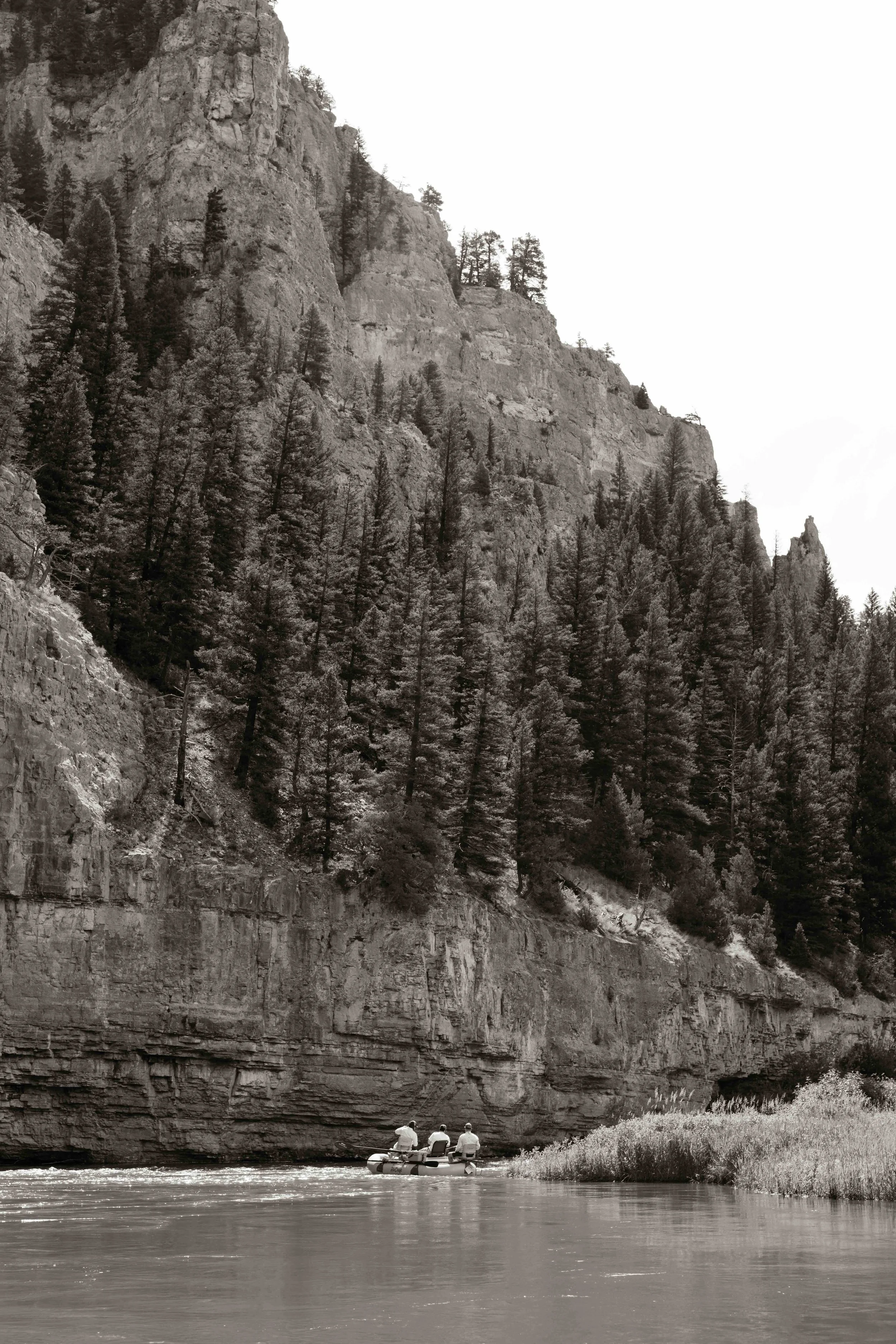 DSC_2160-2.jpeg