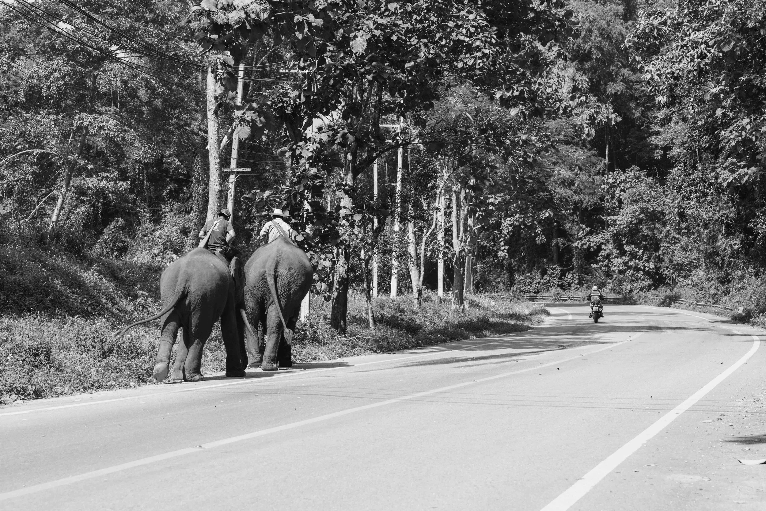 DSC_0922.jpeg