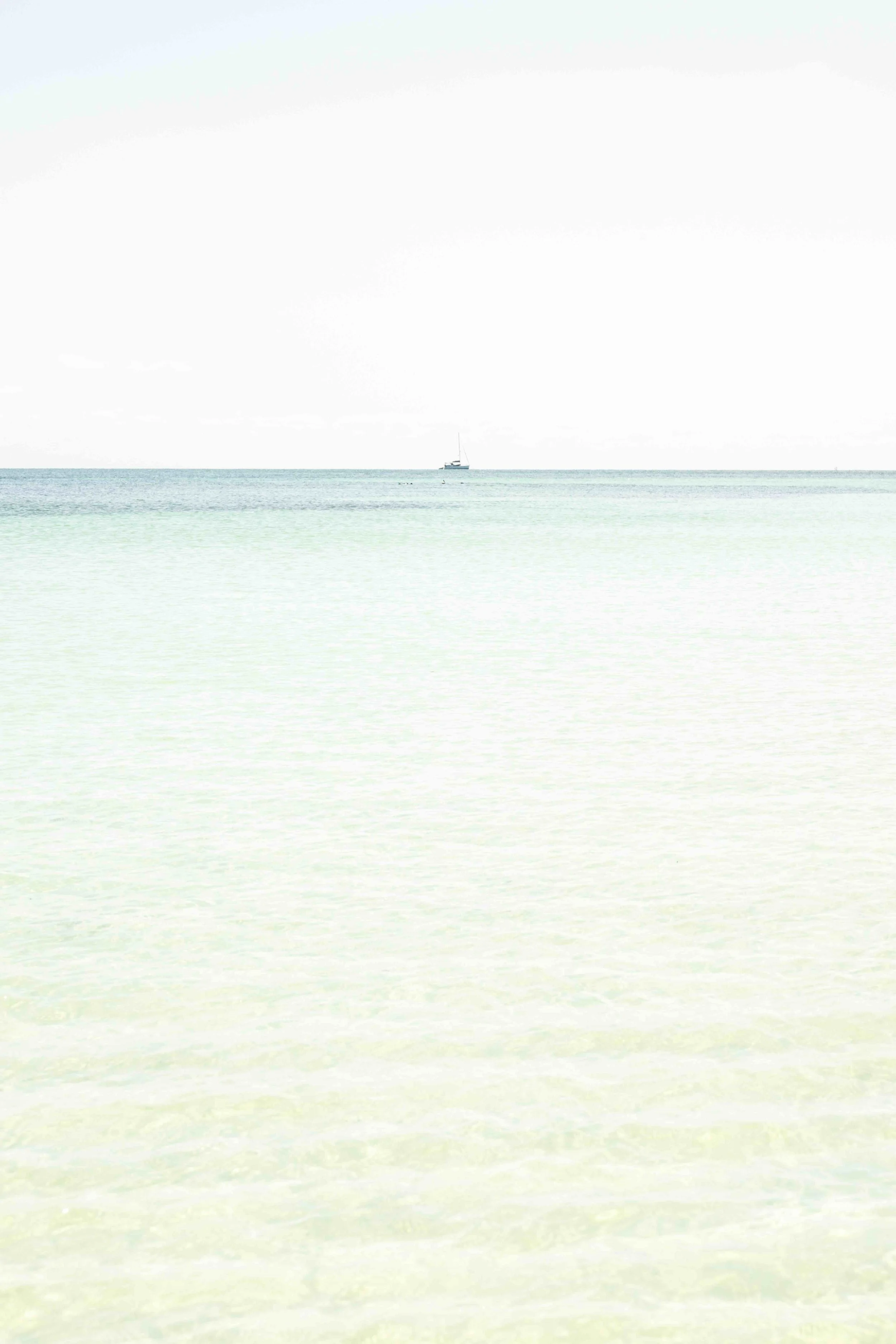 DSC_6166 copy.jpeg