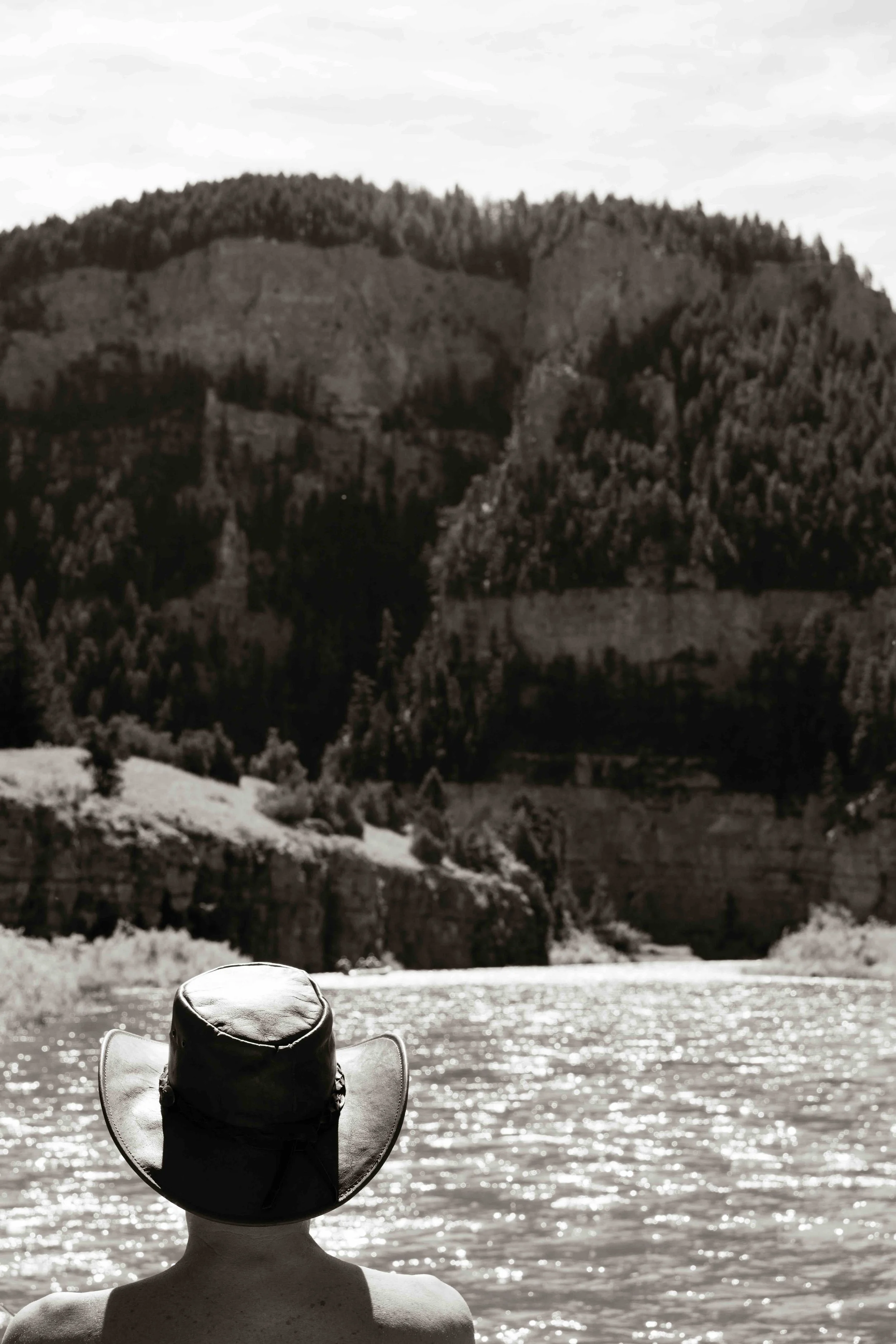DSC_2916-2.jpeg