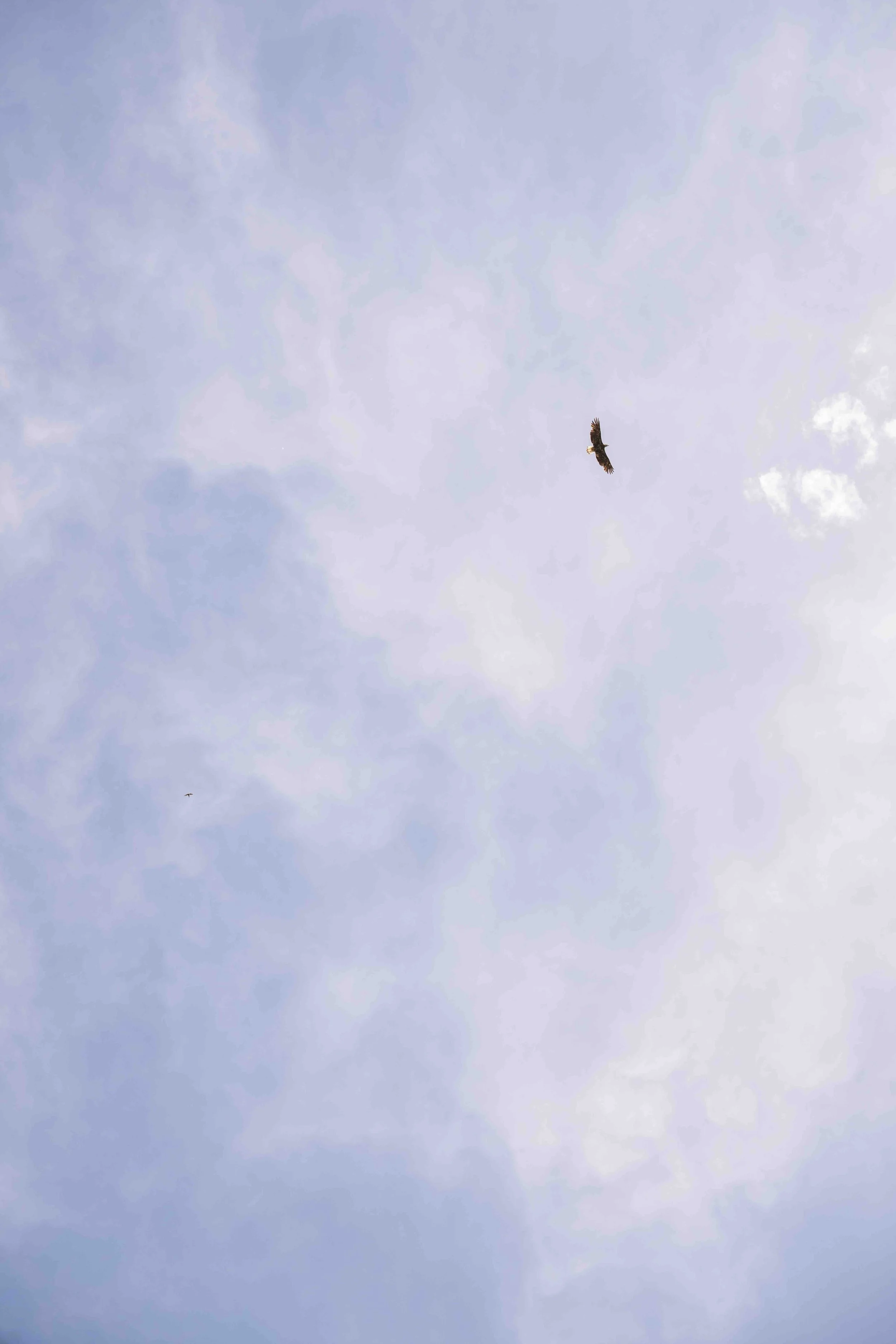 DSC_2204-2.jpeg
