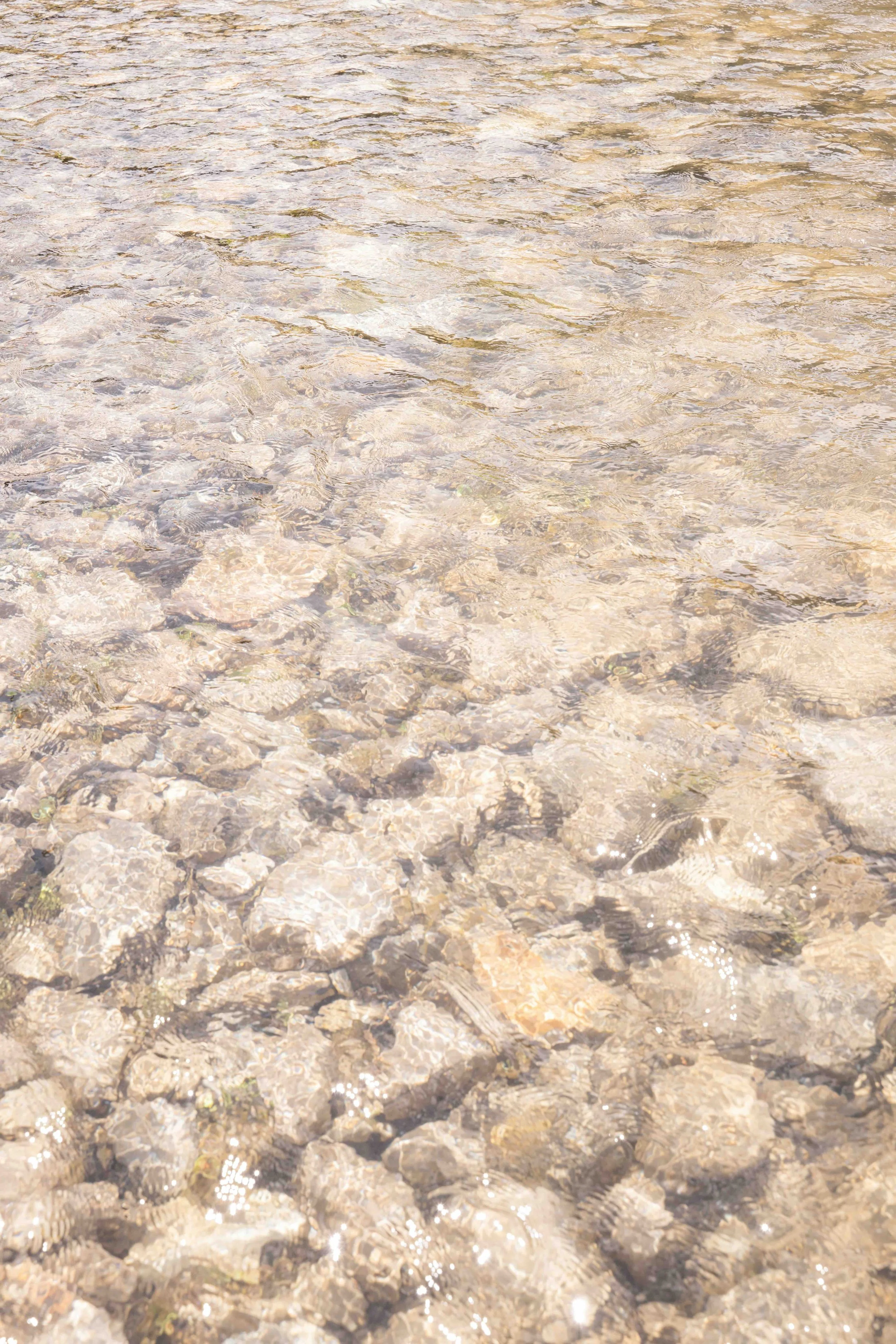 DSC_3100-2.jpeg