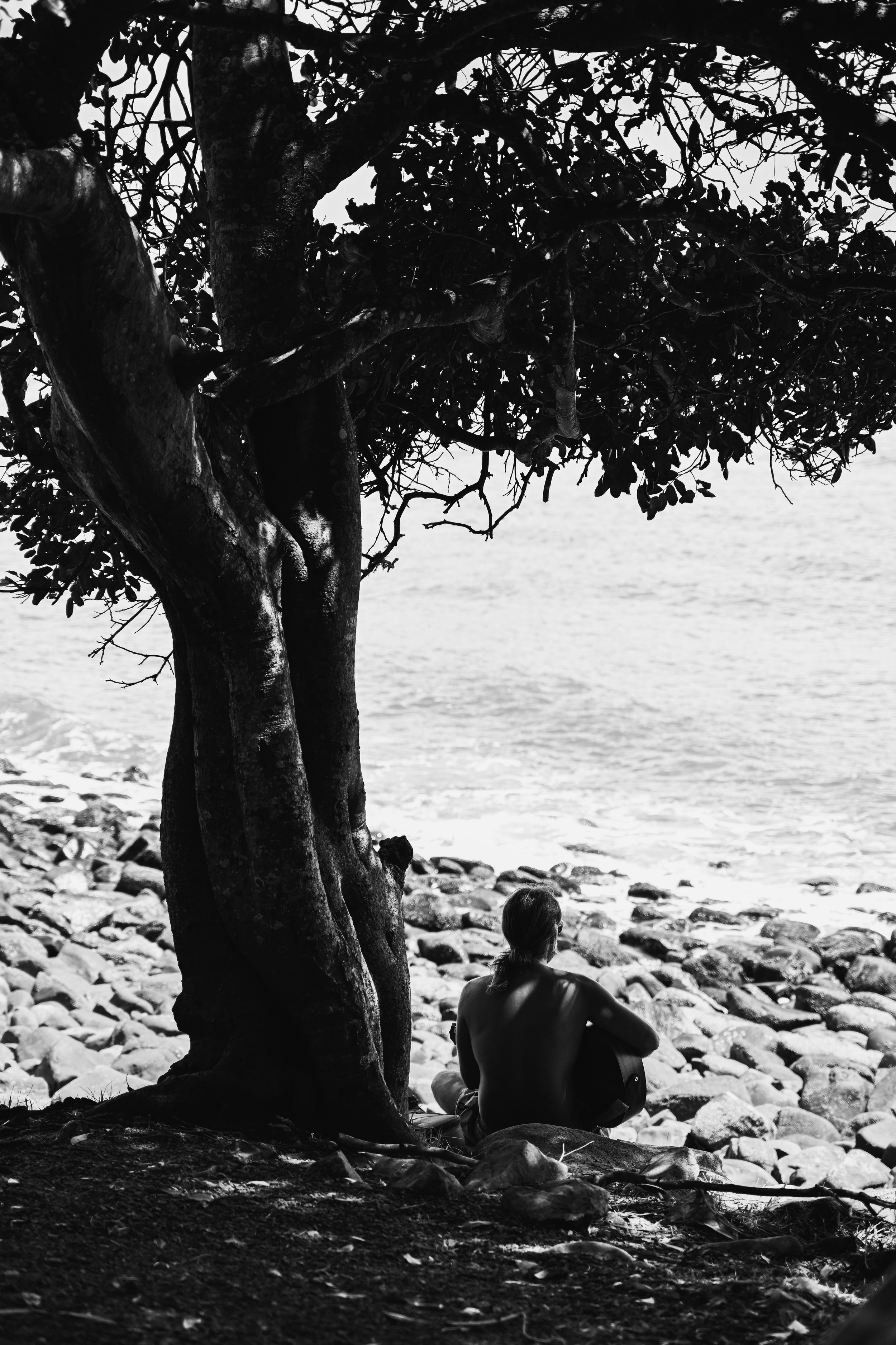 DSC_2726 copy.jpeg