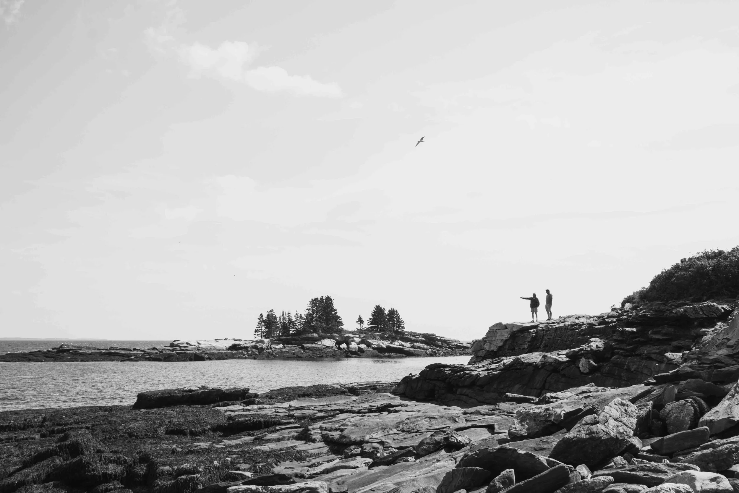 DSC_4856.jpeg