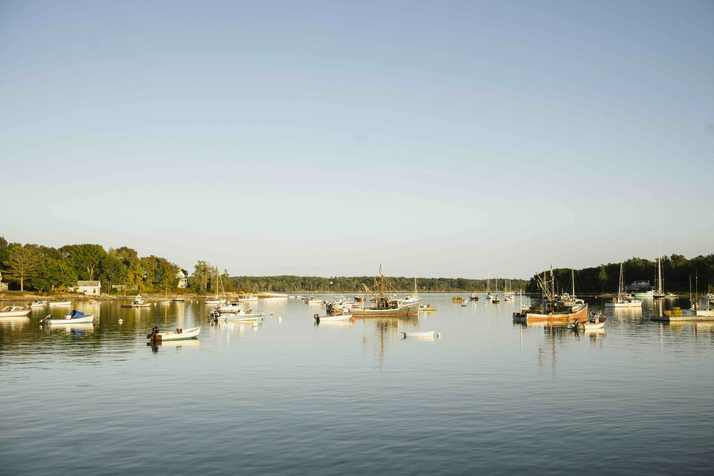 Maine Lobsters.jpg