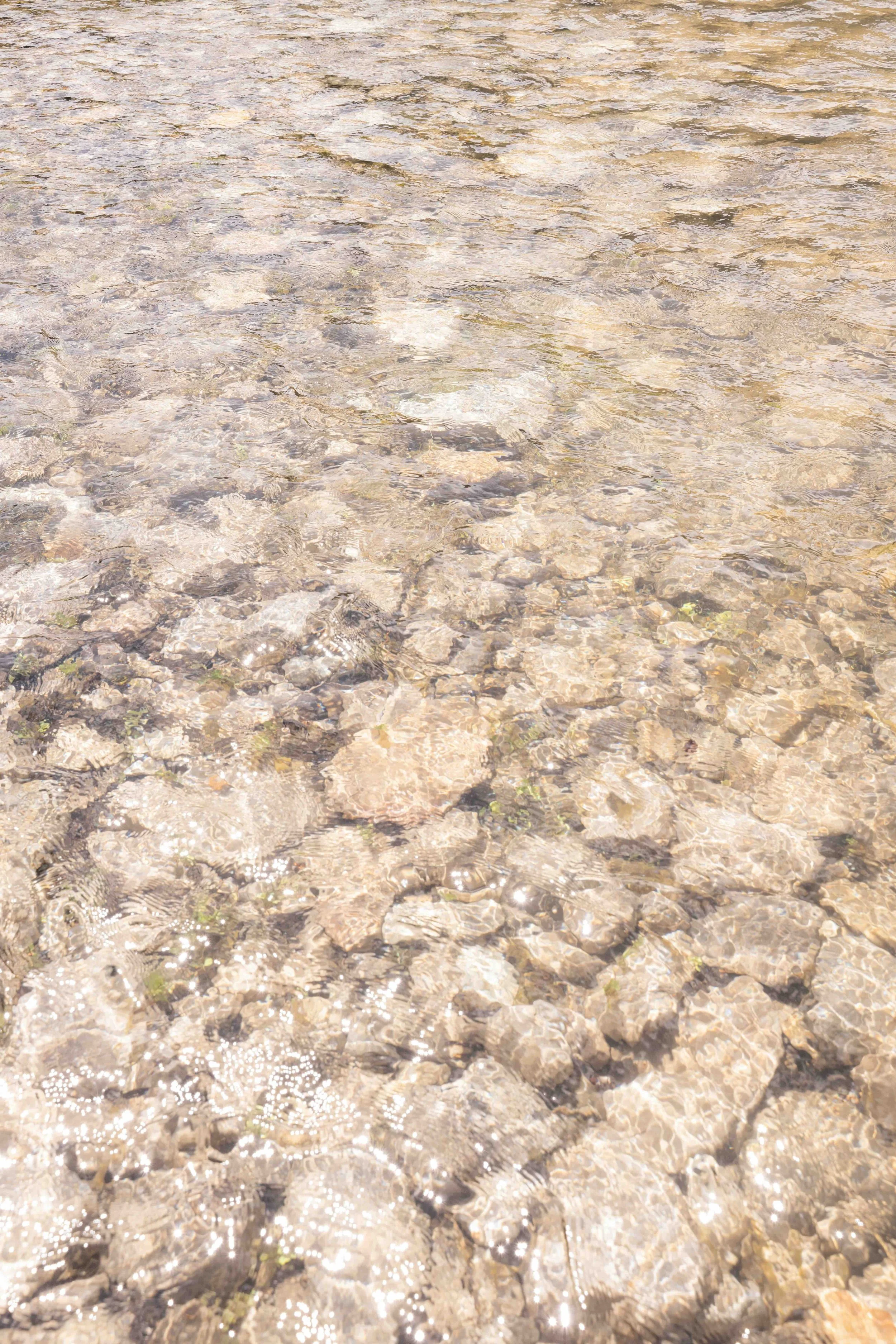 DSC_3104.jpeg