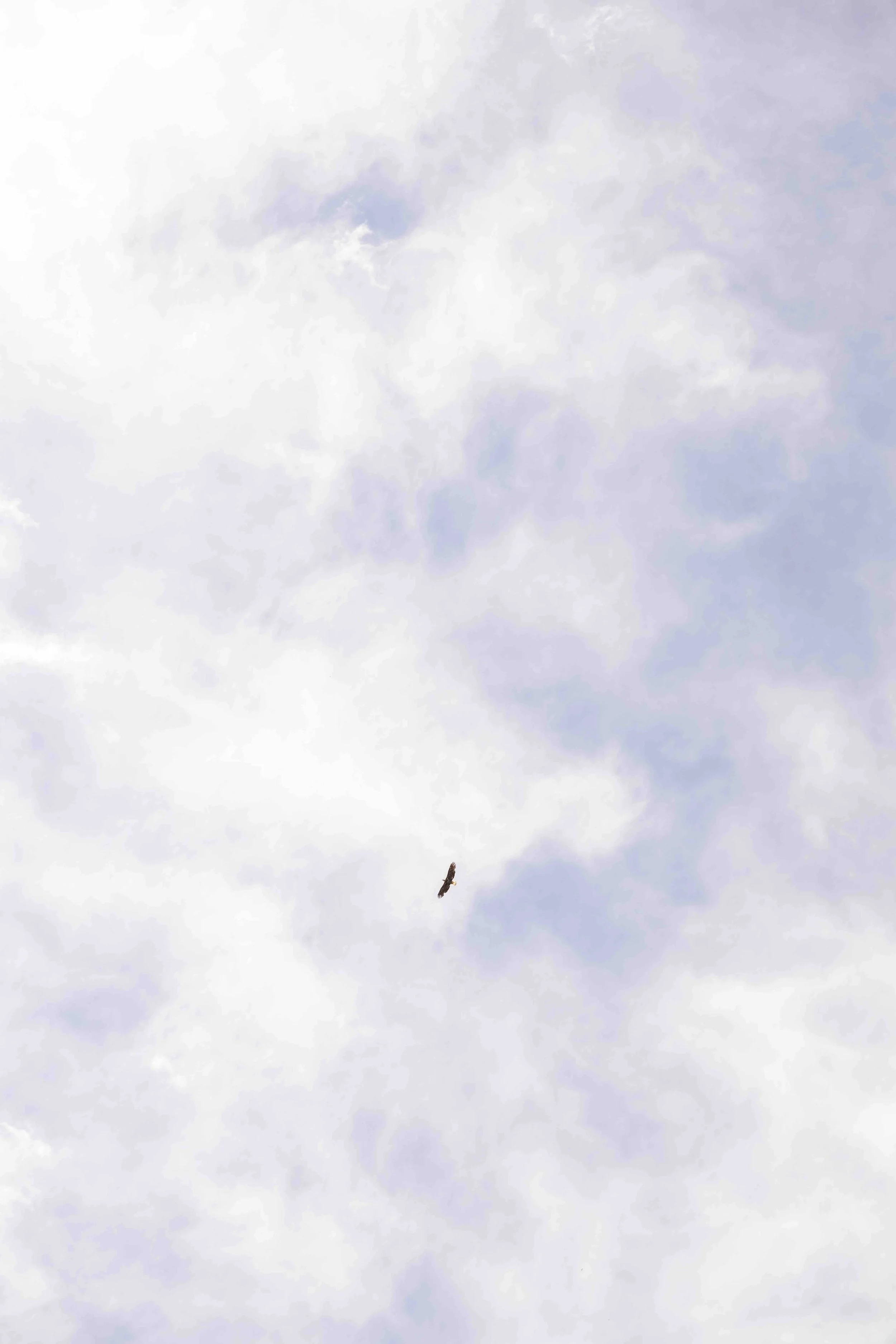 DSC_2208.jpeg