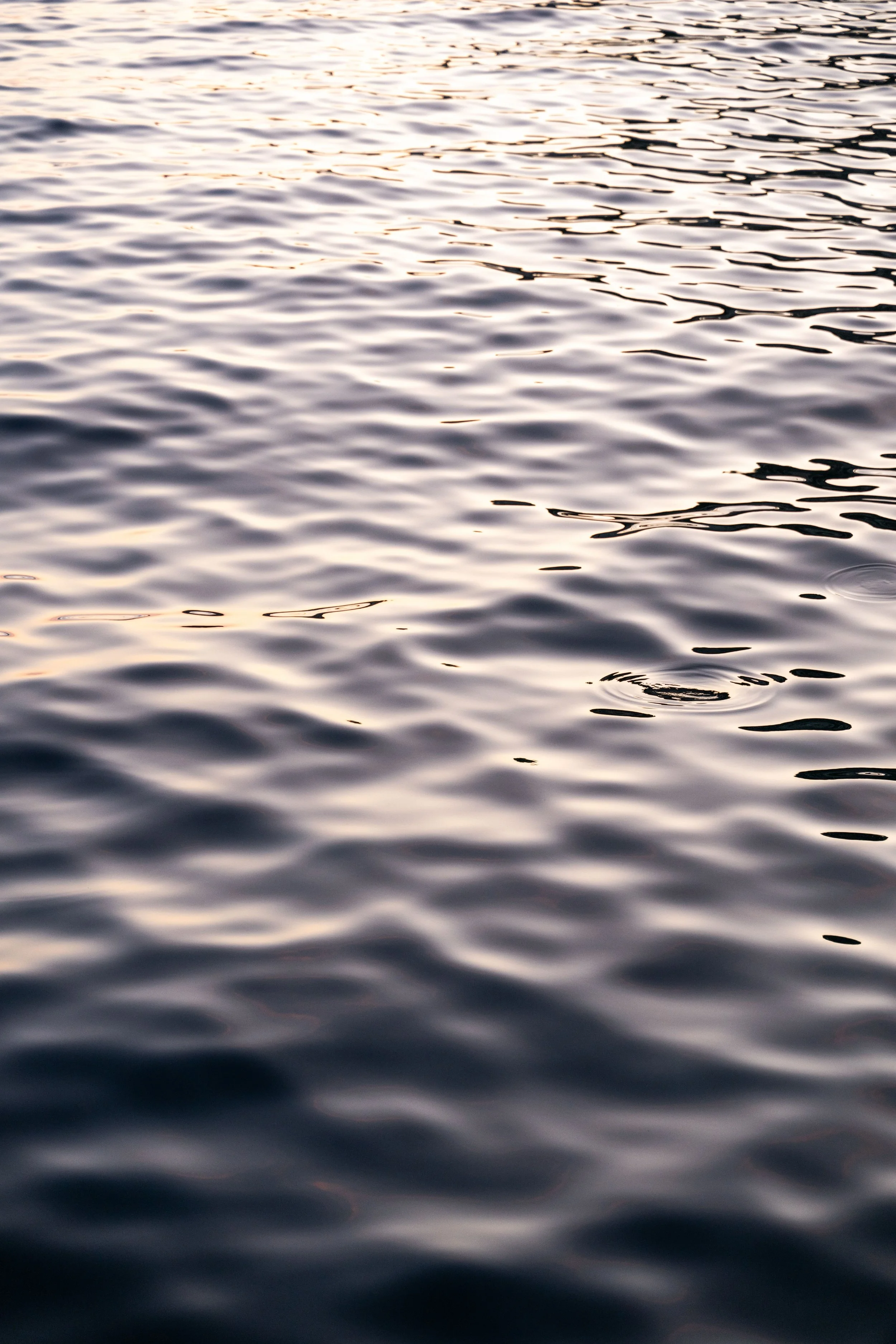DSC_6304.jpeg