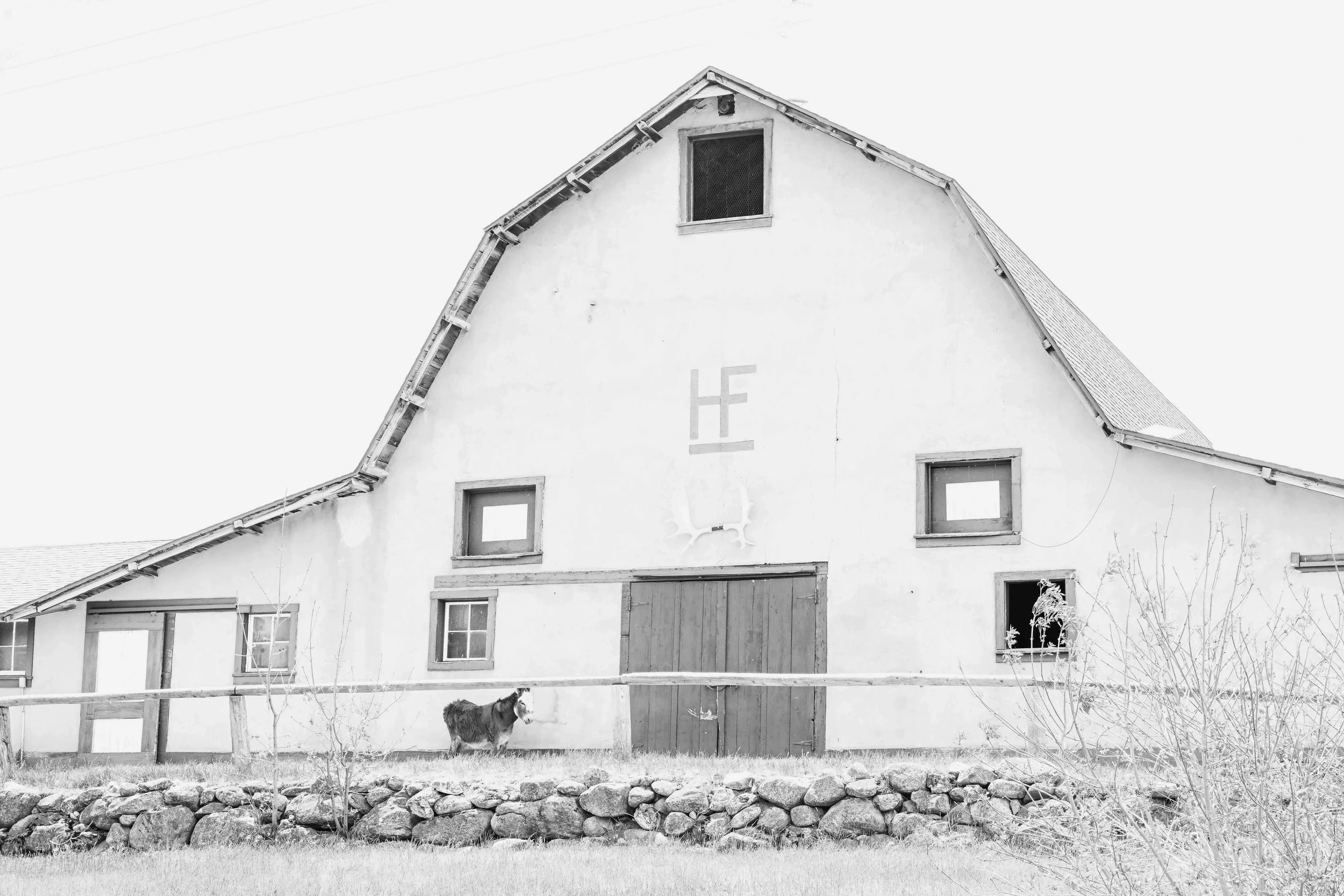 DSC_9929.jpeg