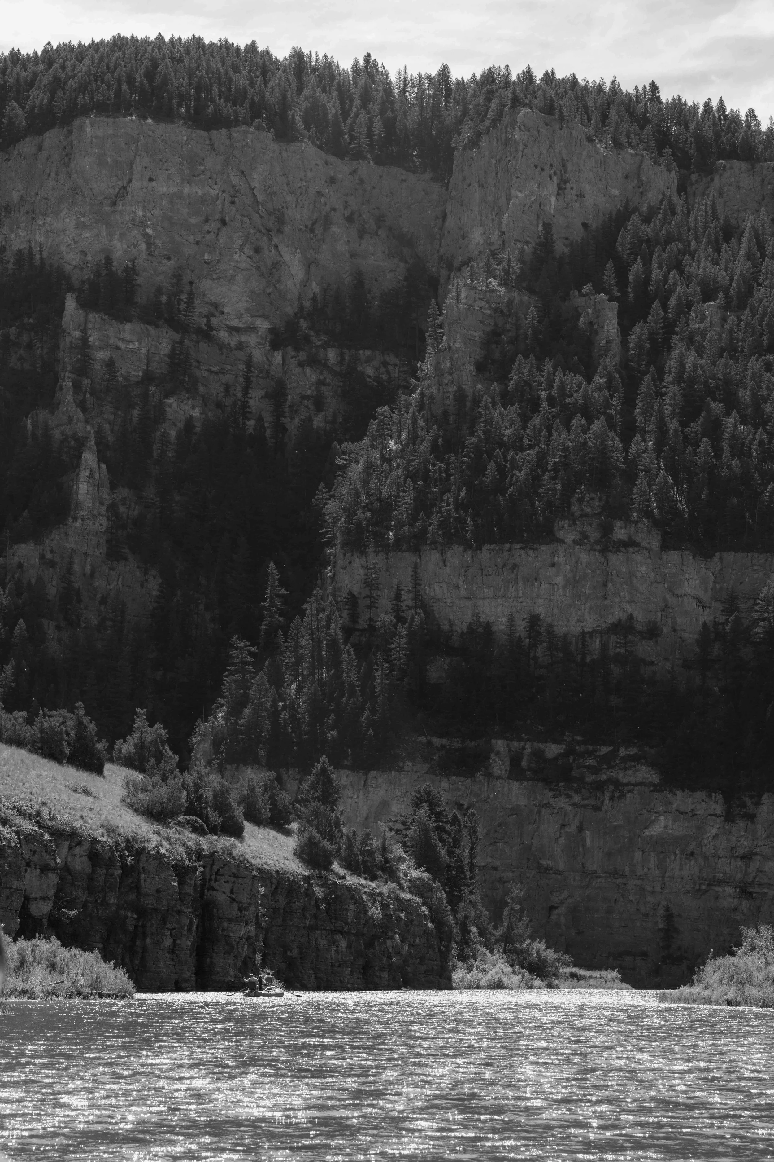 DSC_2910-2.jpeg