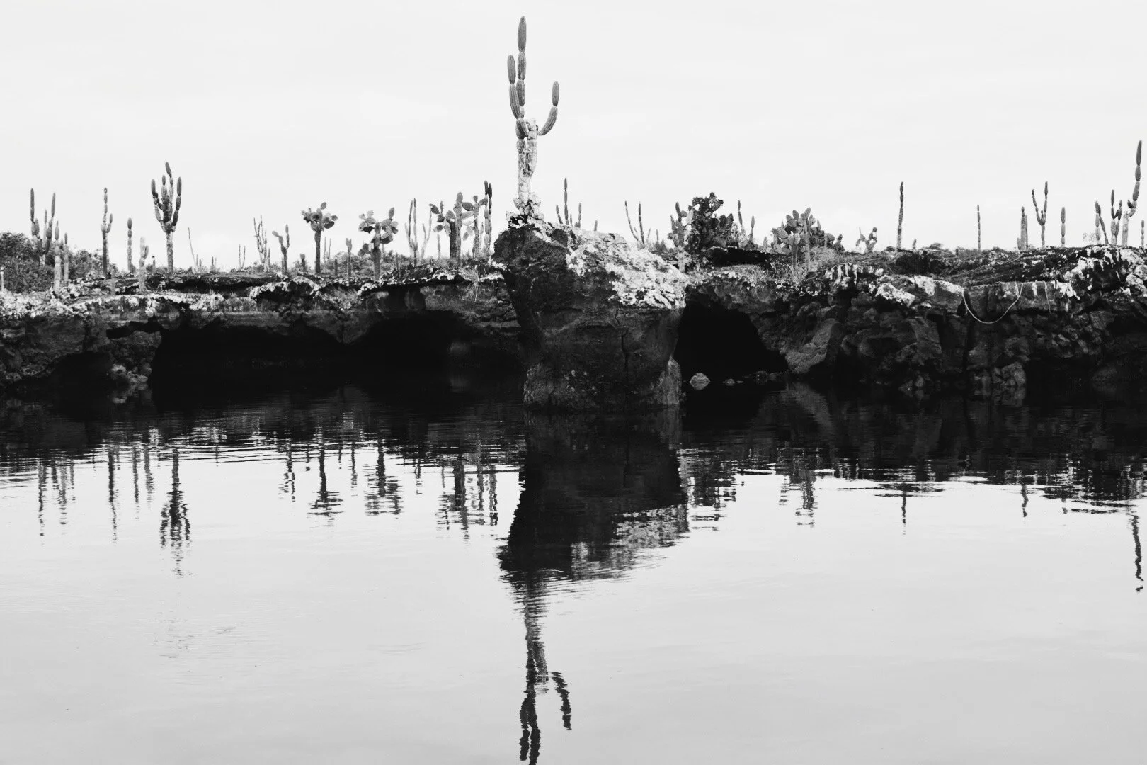 1B2851AC-D294-4561-AAEE-0AEA5D8F7BDB_Original.jpg