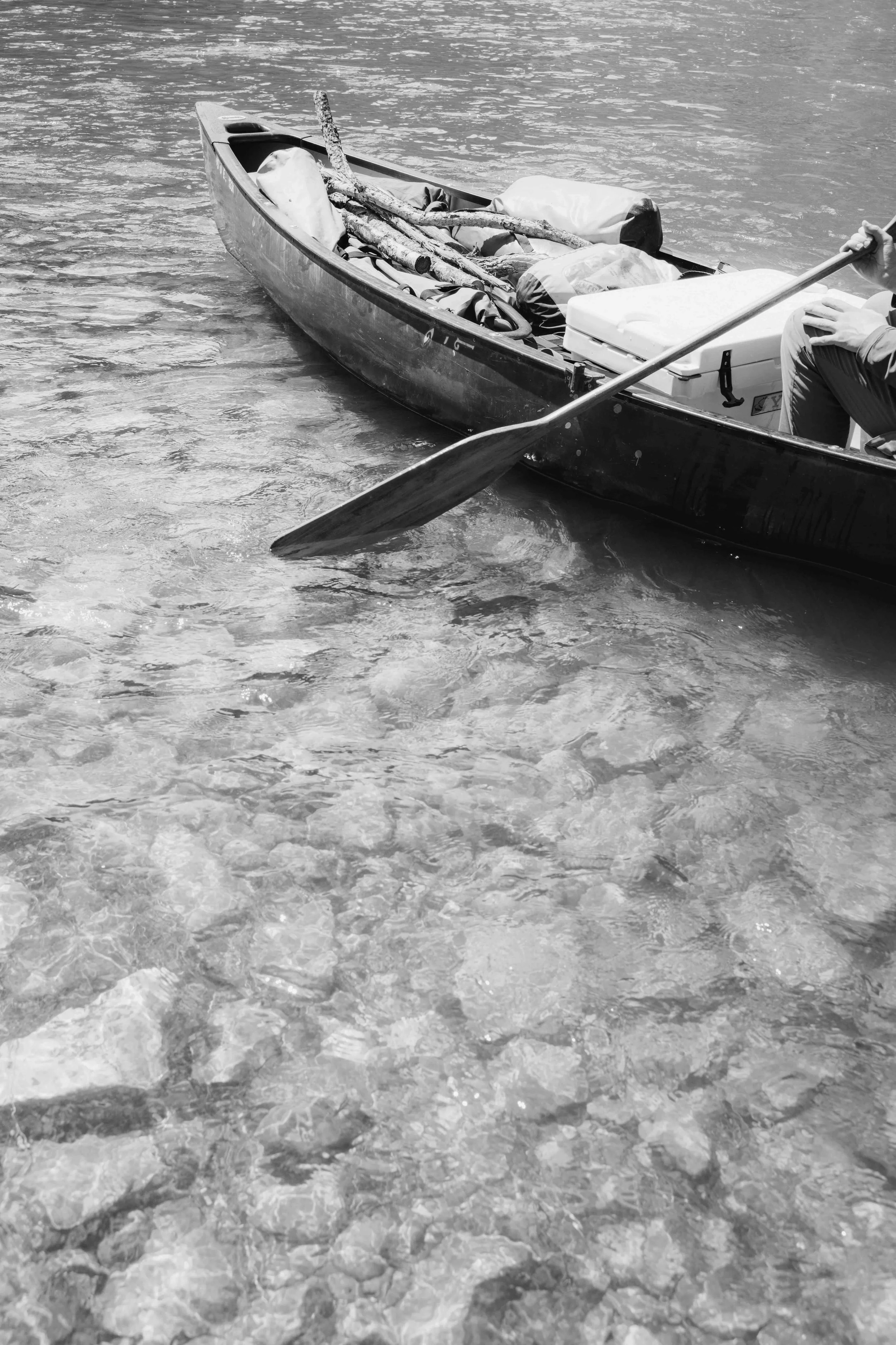 DSC_3123-2.jpeg