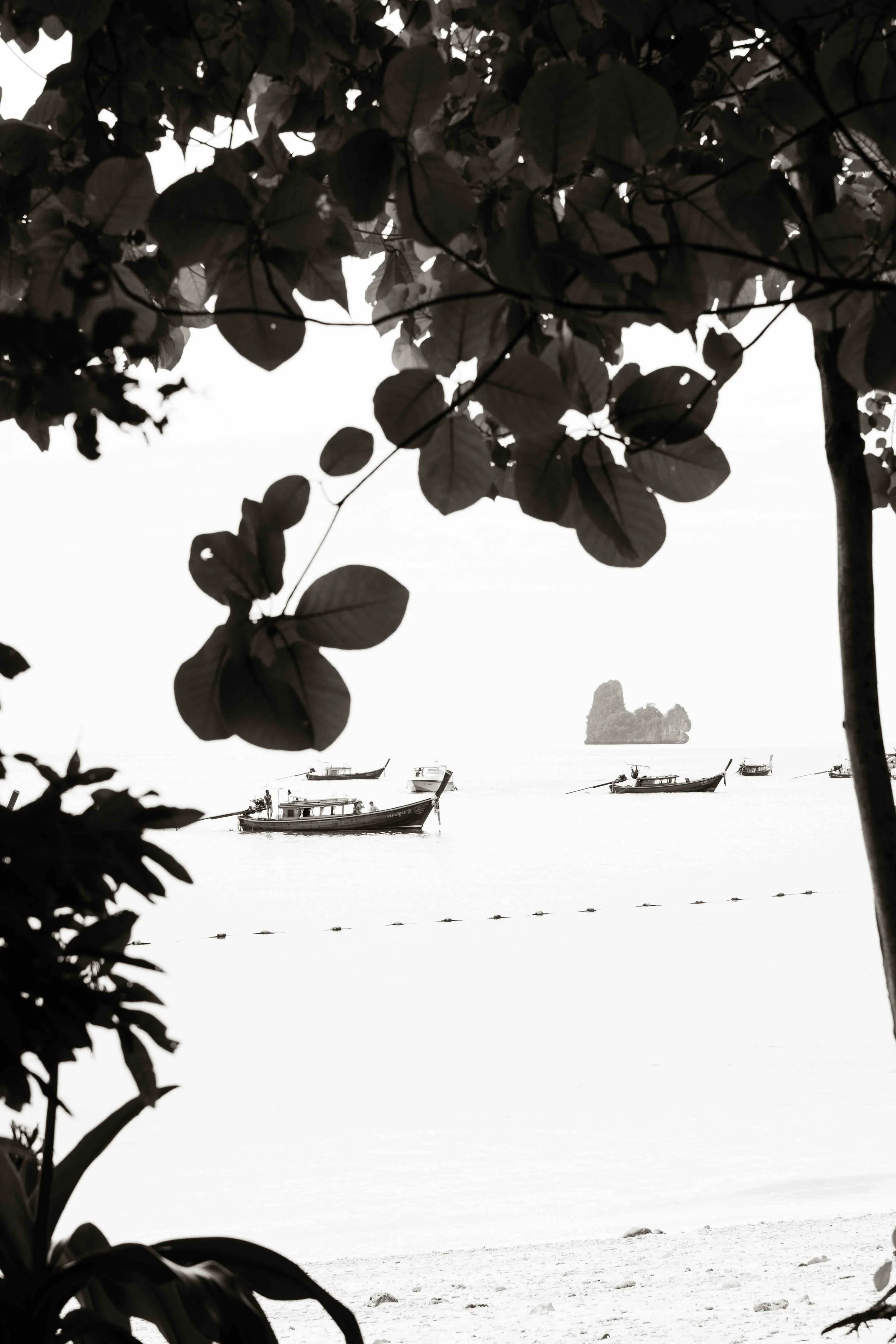 DSC_2085.jpeg