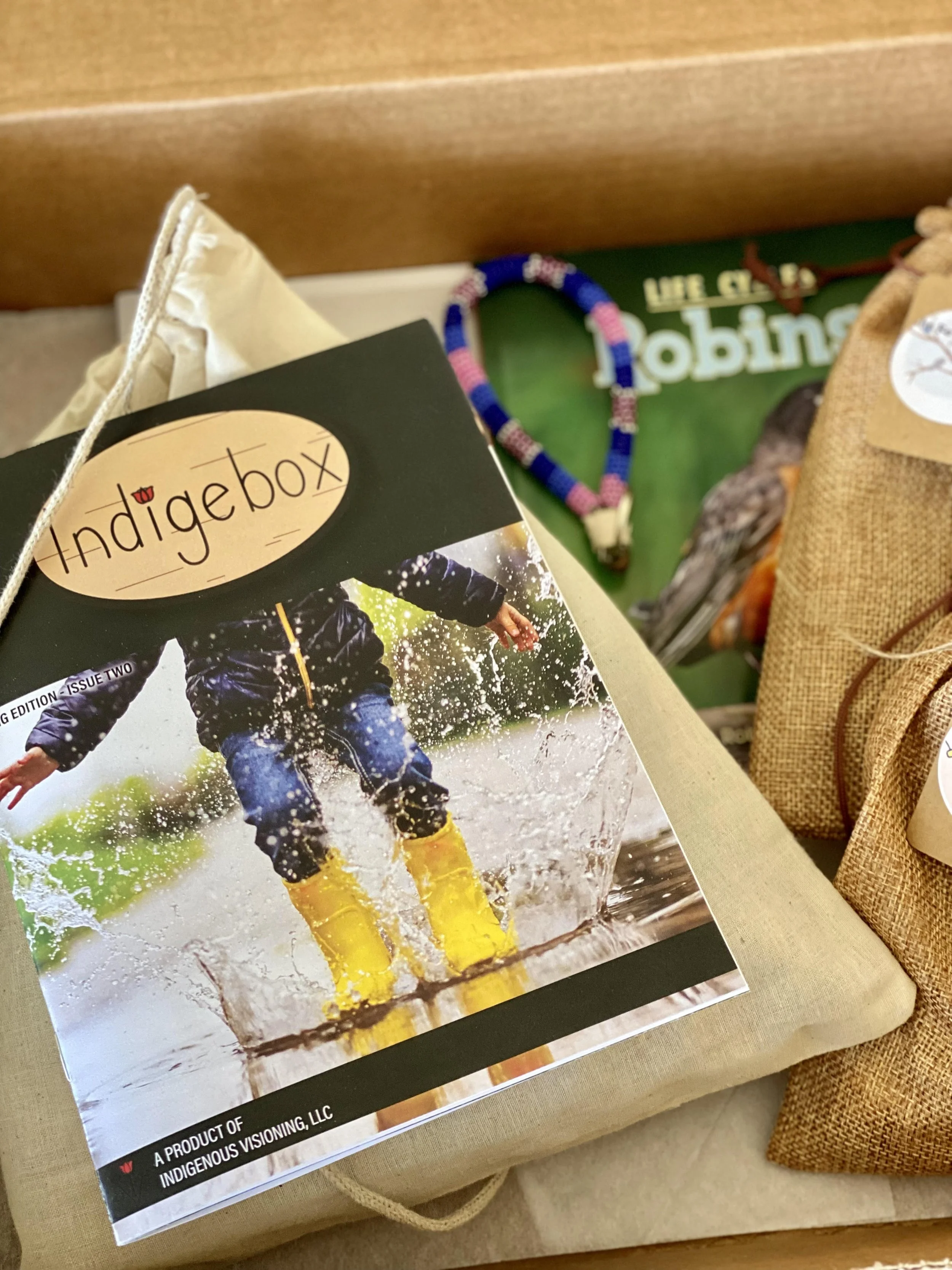 Gallery 3 — INDIGENOUS VISIONING
