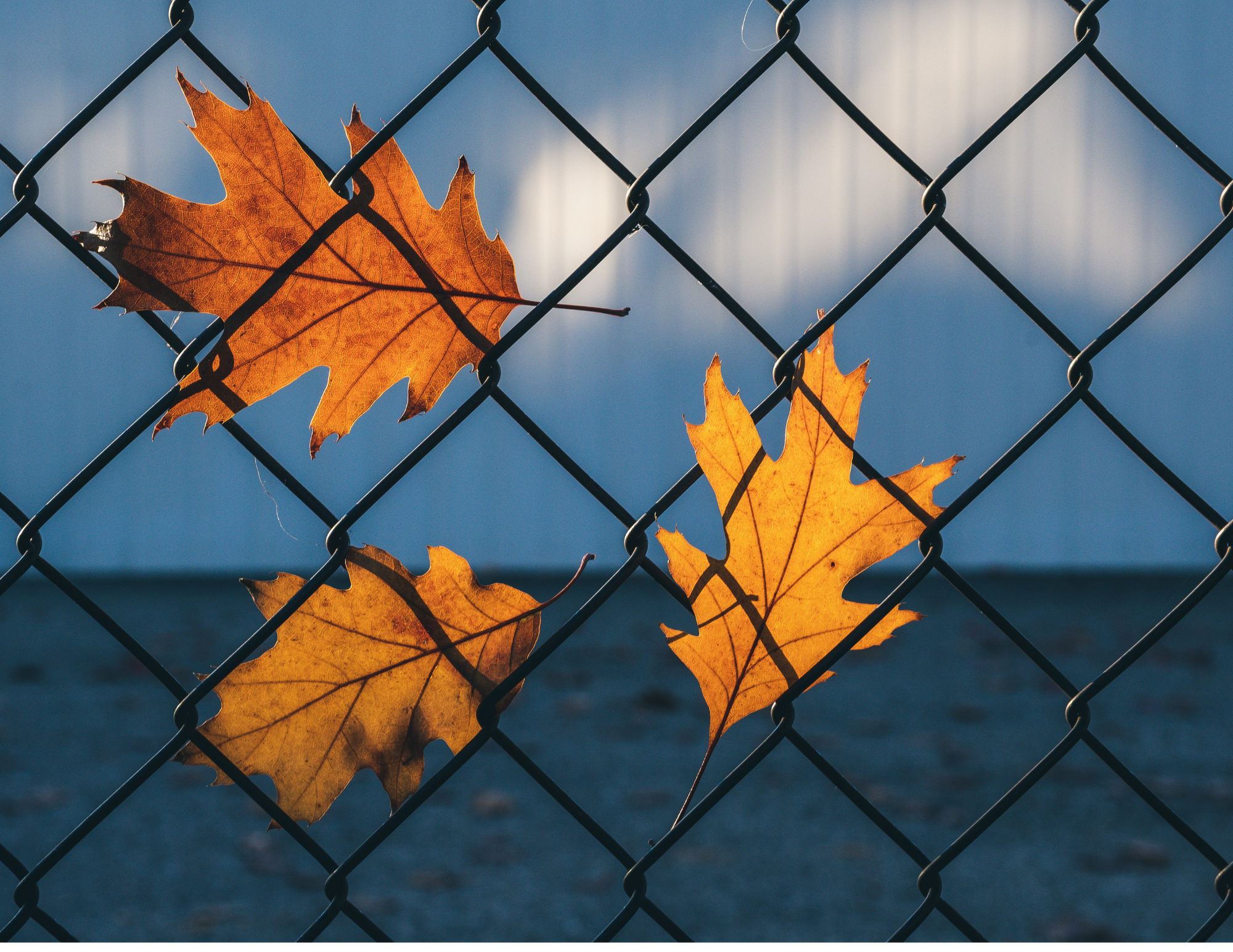 The Link Between Trauma and Addiction