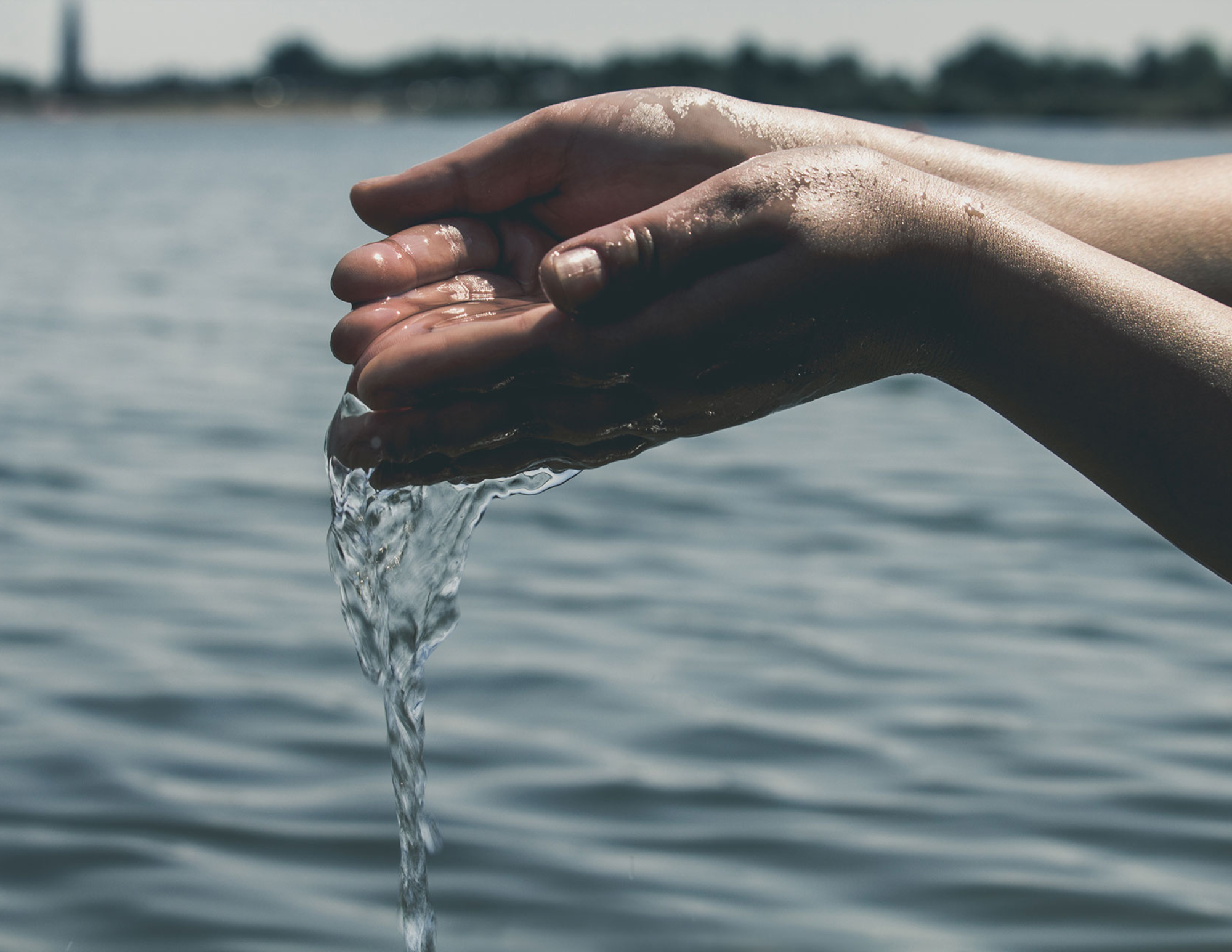 Long-Term Betrayal Trauma Recovery Resources