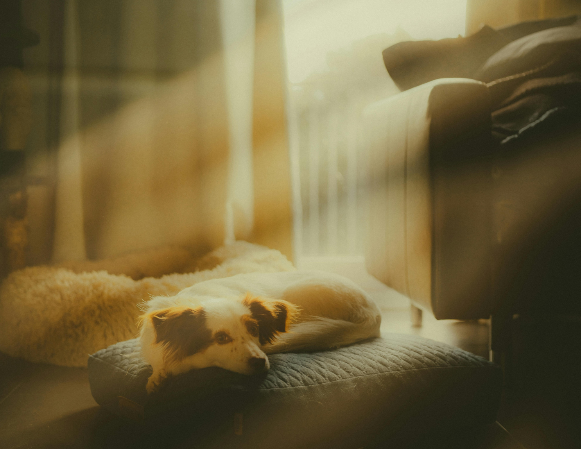 When Weekly Therapy Isn’t Enough: How Intensives Accelerate Trauma Recovery