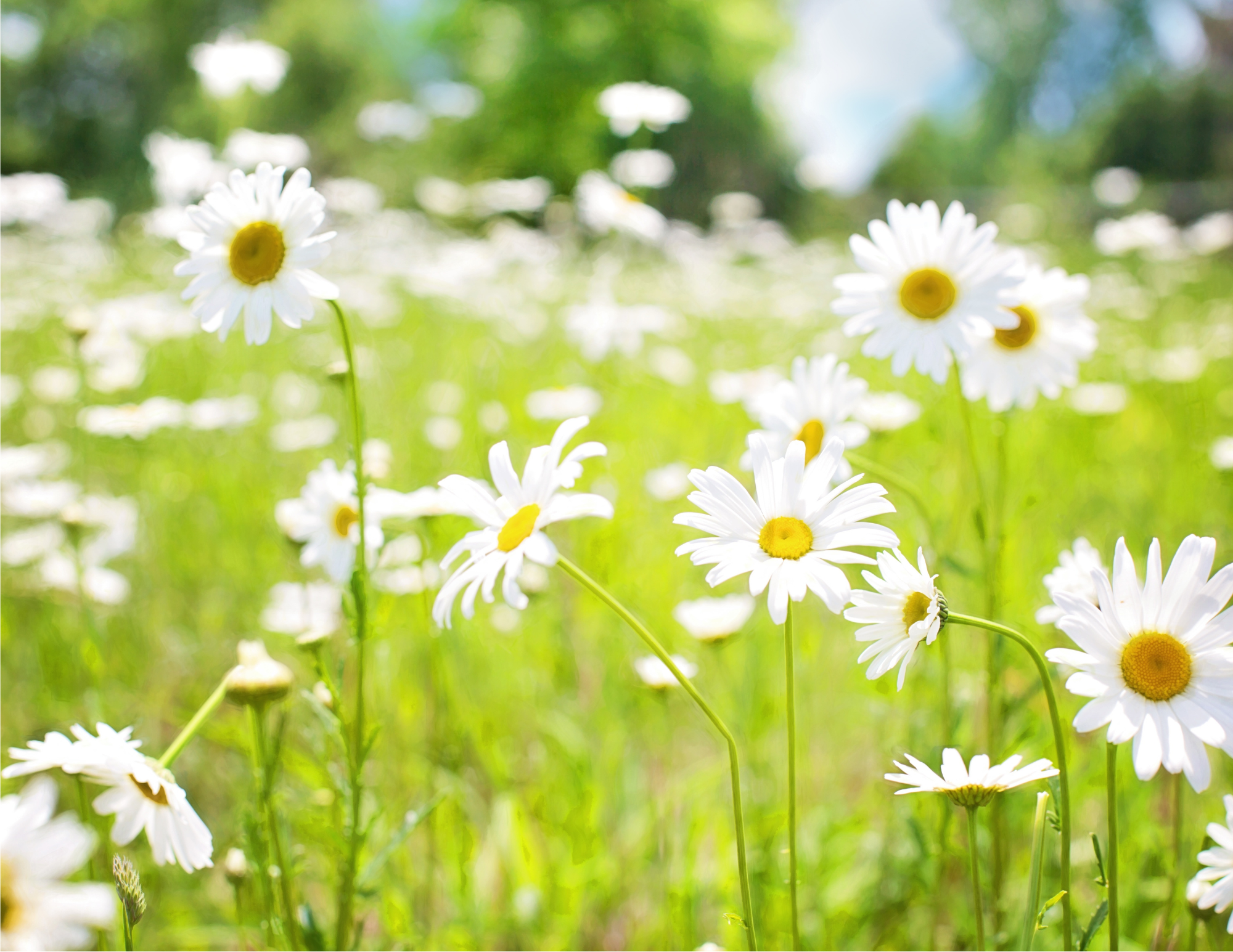 5 Commonly Misused Therapy Terms (And What They Really Mean)