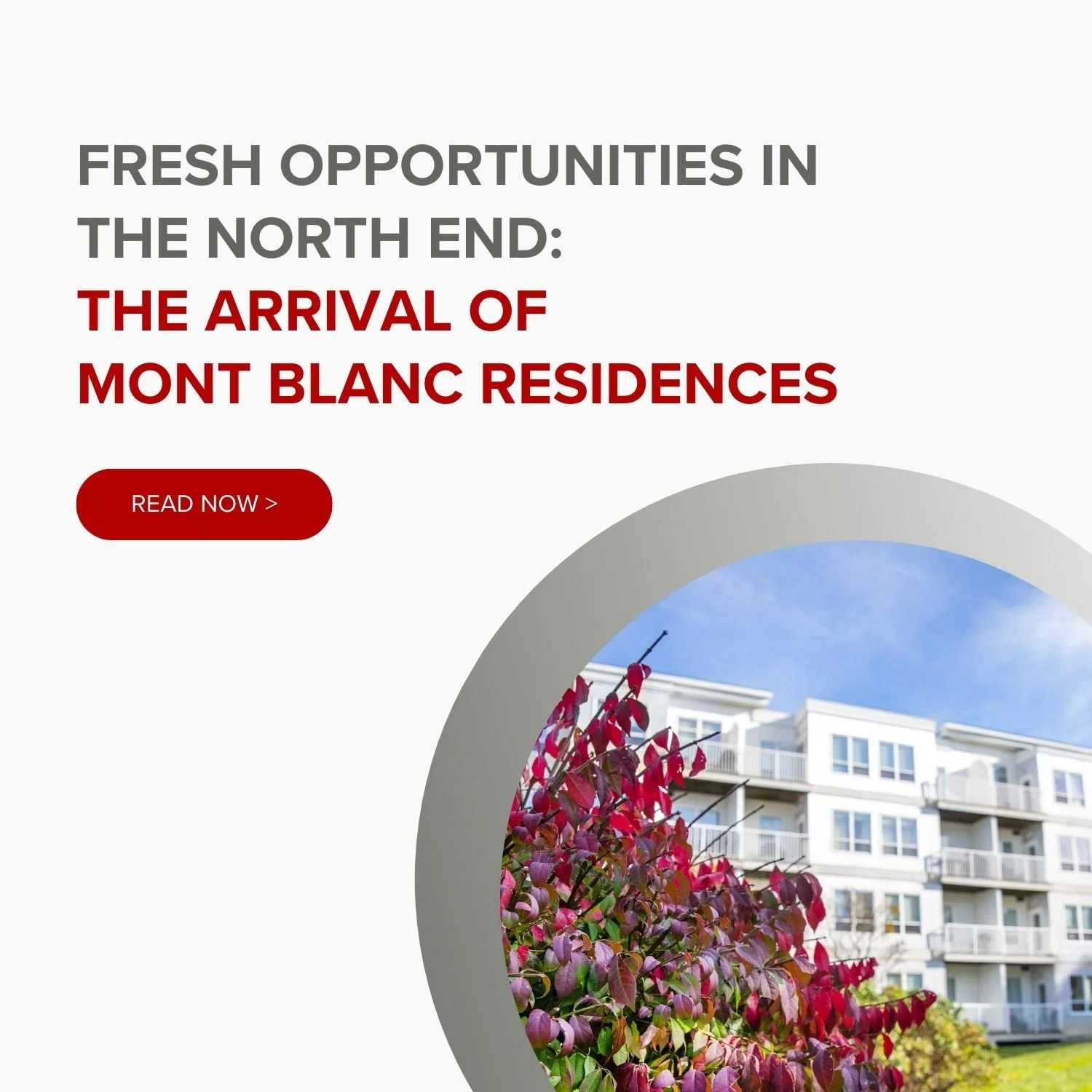 Fresh Opportunities in the North End: The Arrival of Mont Blanc Residences