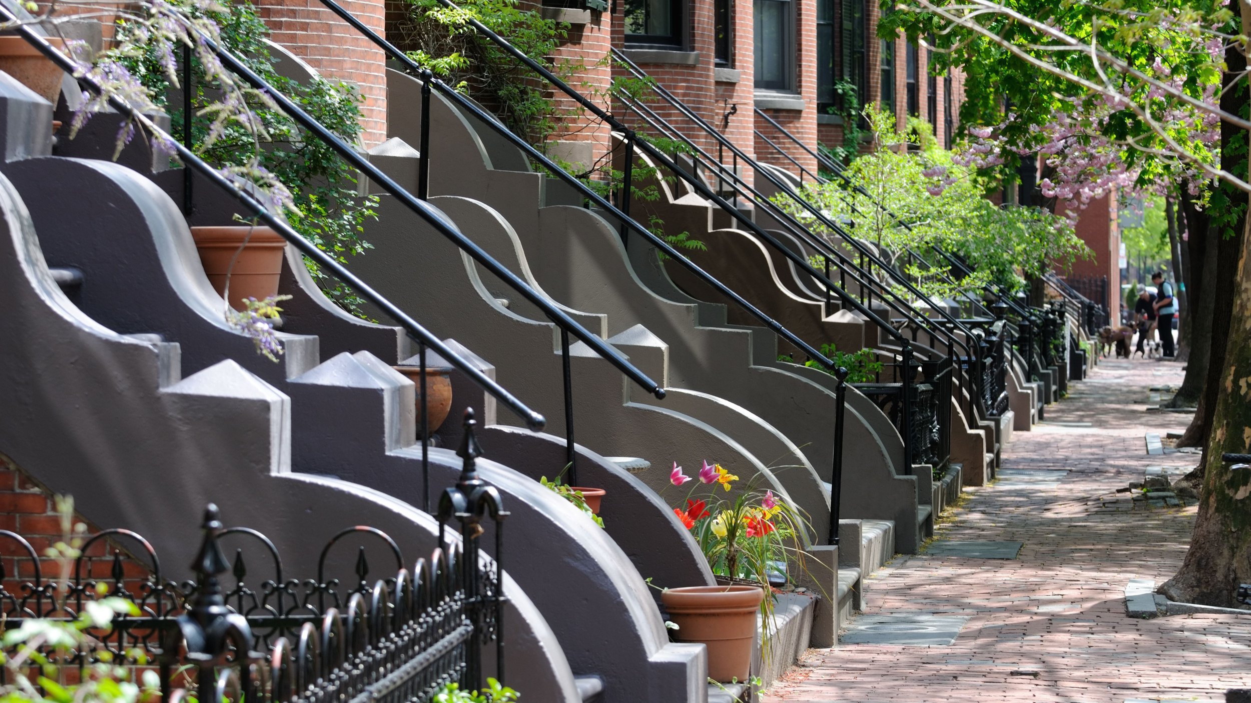 Neighbourhoods You Want to Keep on Your Radar When Buying a Halifax ...