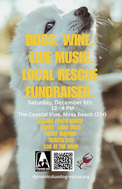 Dynamic Duo Dog Rescue Fundraiser
