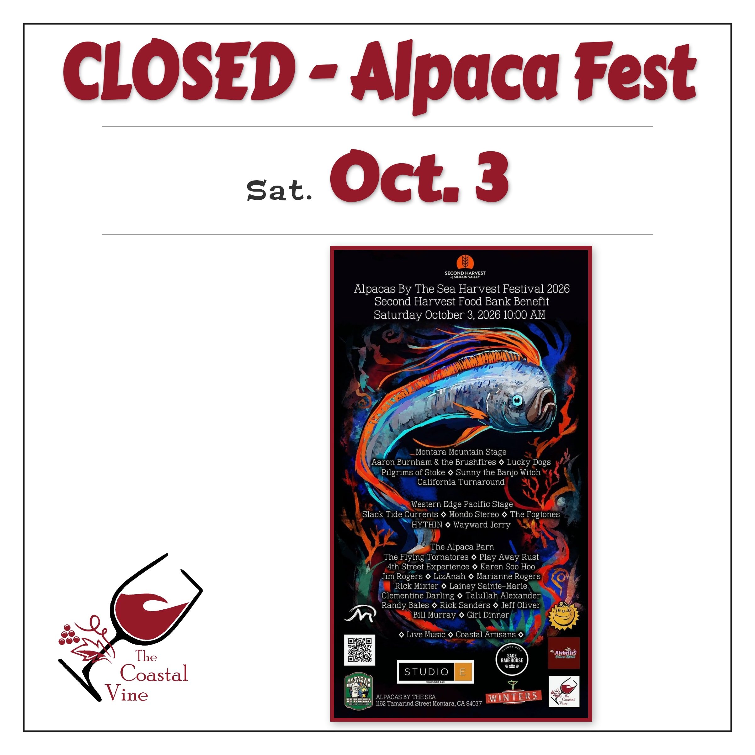 Alpaca Fest