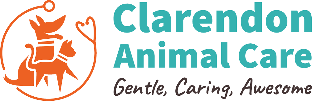 clarendon animal care logo