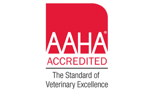 AAHA-accredited-logo.png