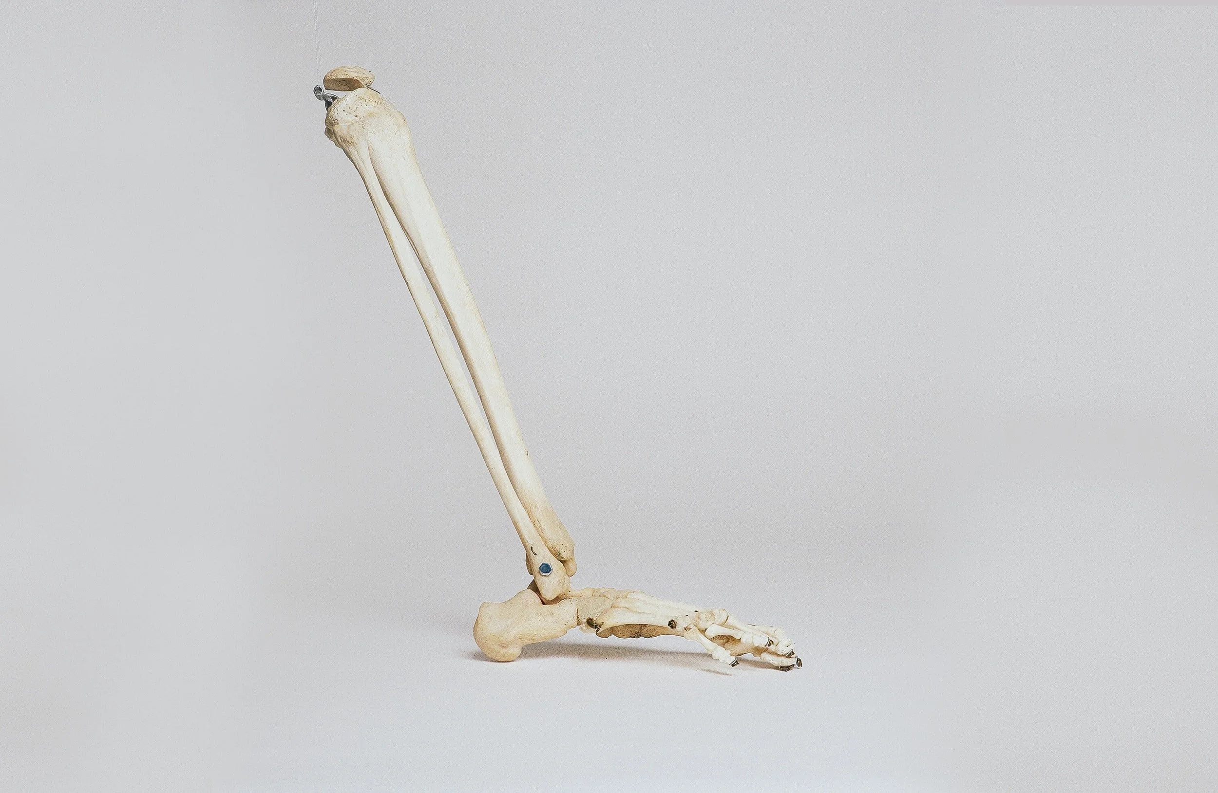 Podiatrist VS Orthopedist? Whats the difference?